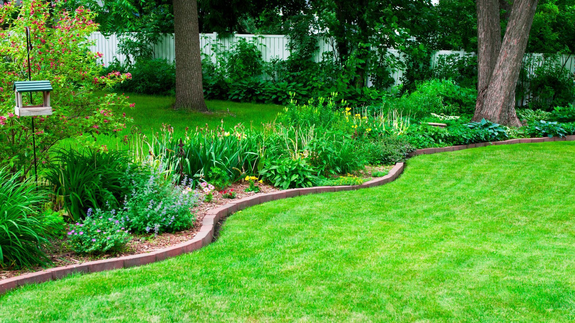 Lush green garden with a curved stone border, trees, and dense shrubs beside a lawn