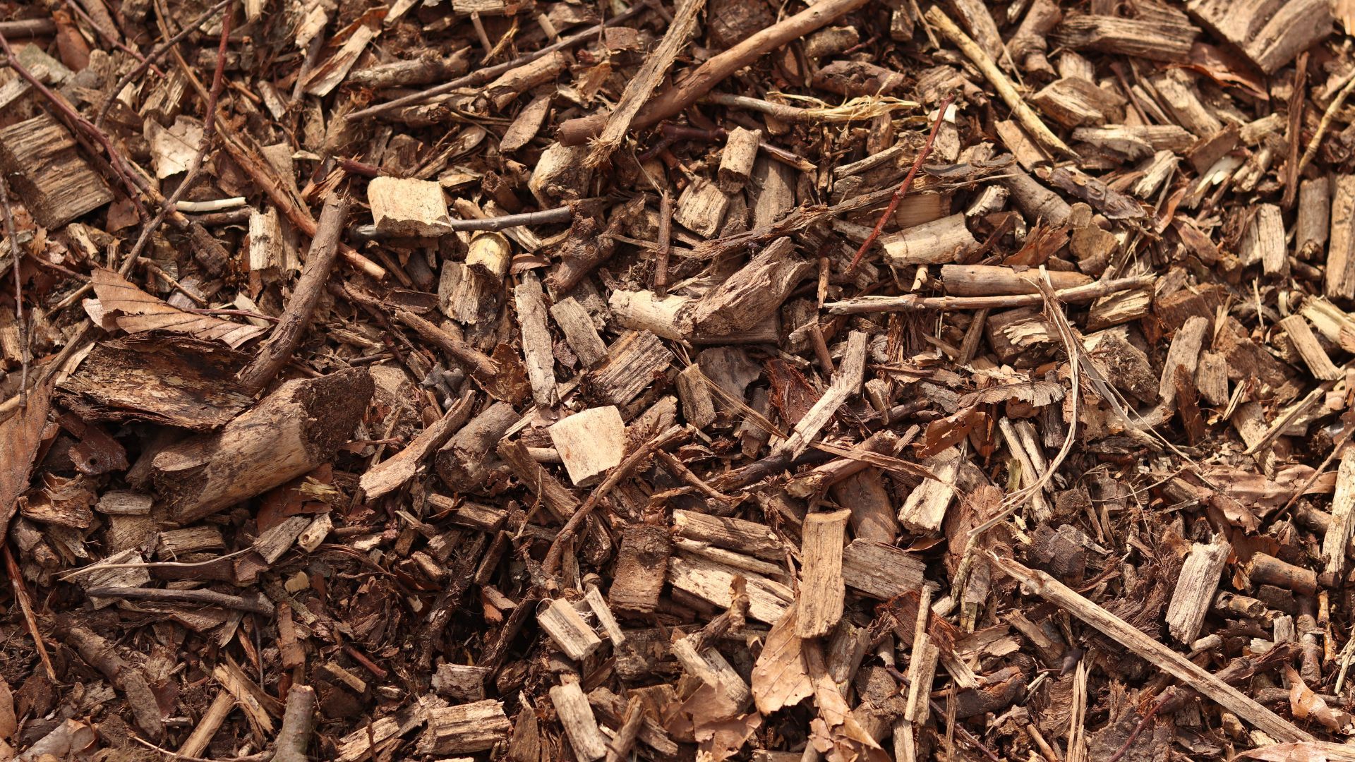 Close-up of brown wood chips and mulch covering the ground