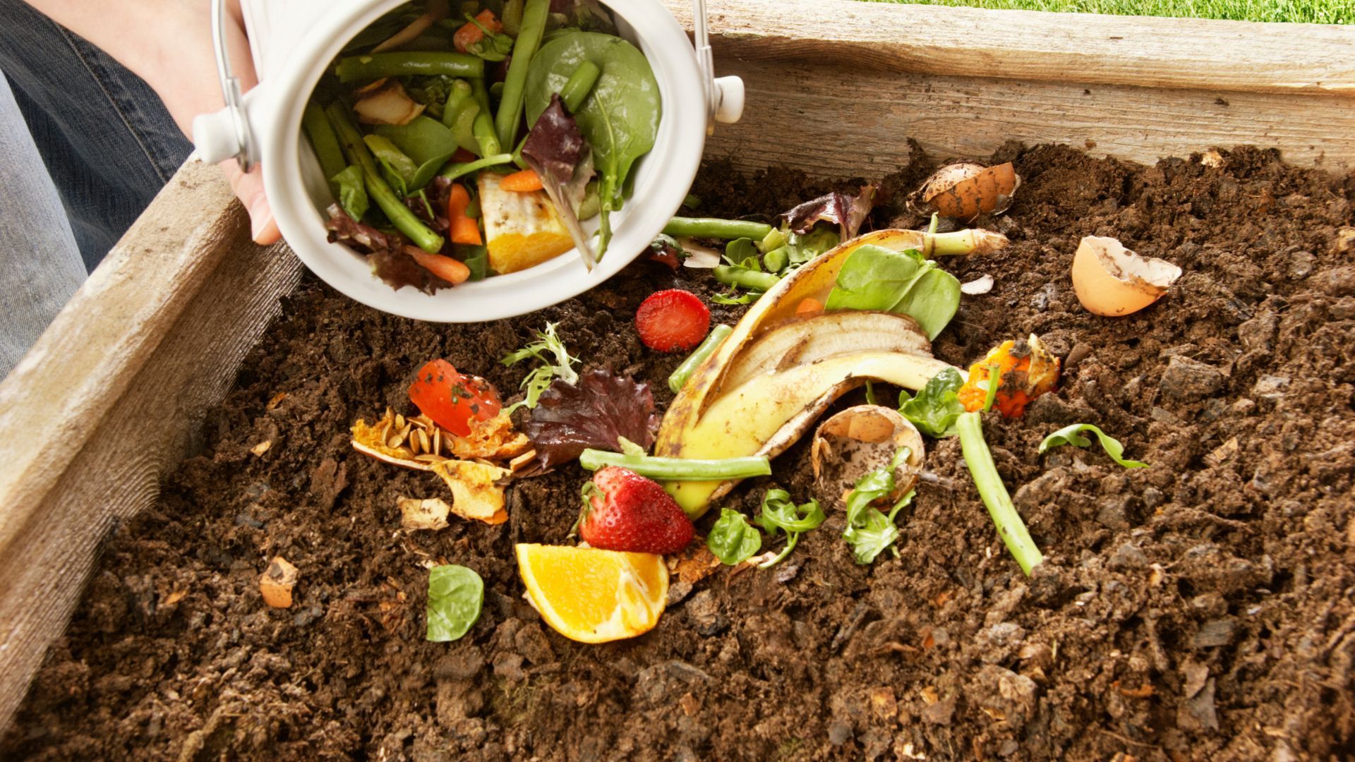 Kitchen scraps in a compost bin with soil, peels, lettuce, citrus, and vegetable scraps