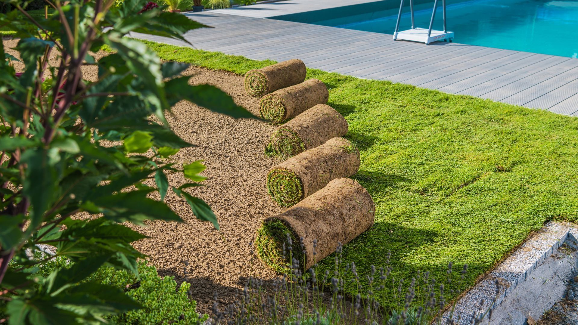 Rolled turf logs on a gravel path beside a green lawn and pool deck