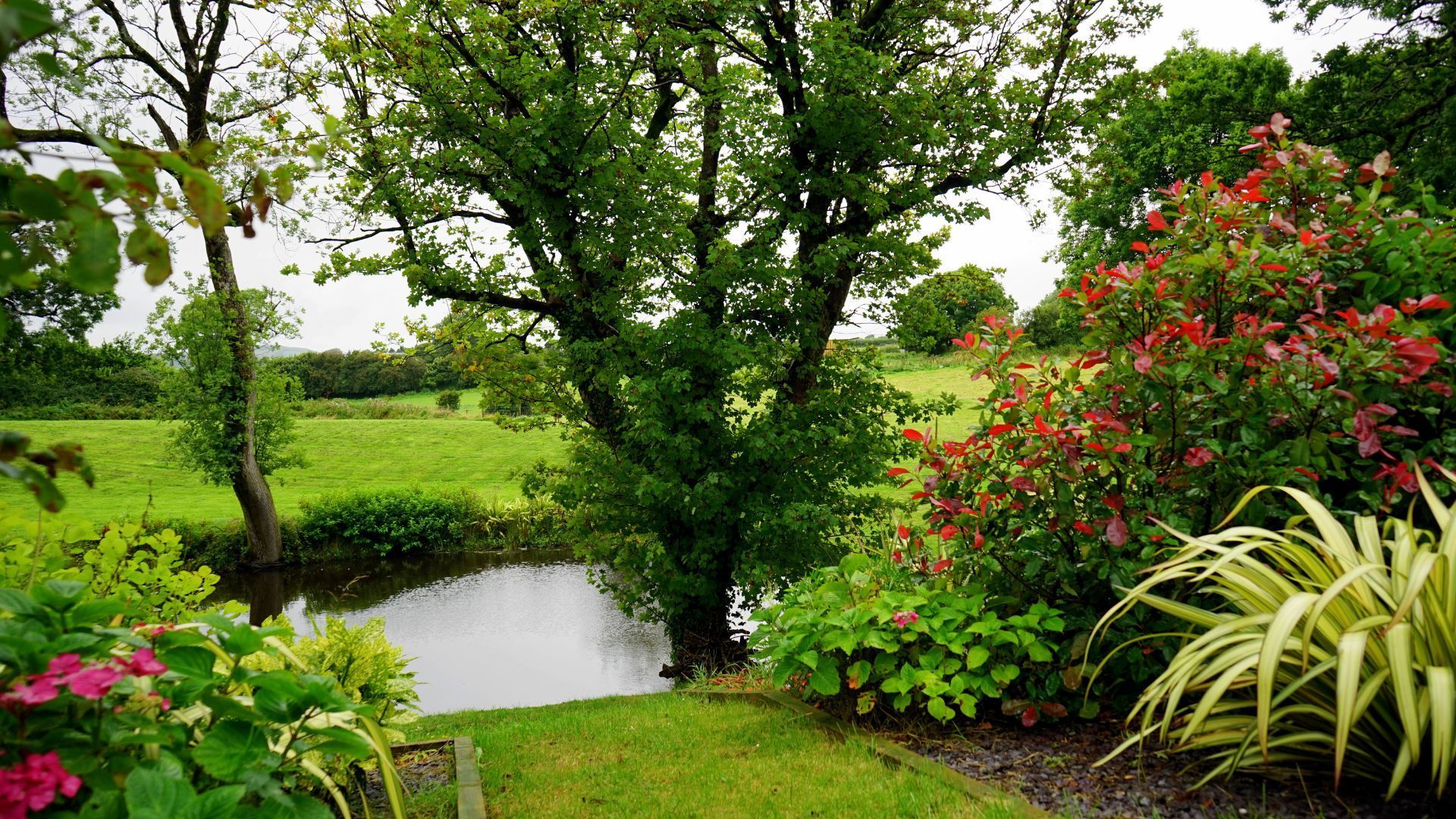 Lush garden with a small pond, flowering shrubs, and a large tree under a cloudy sky
