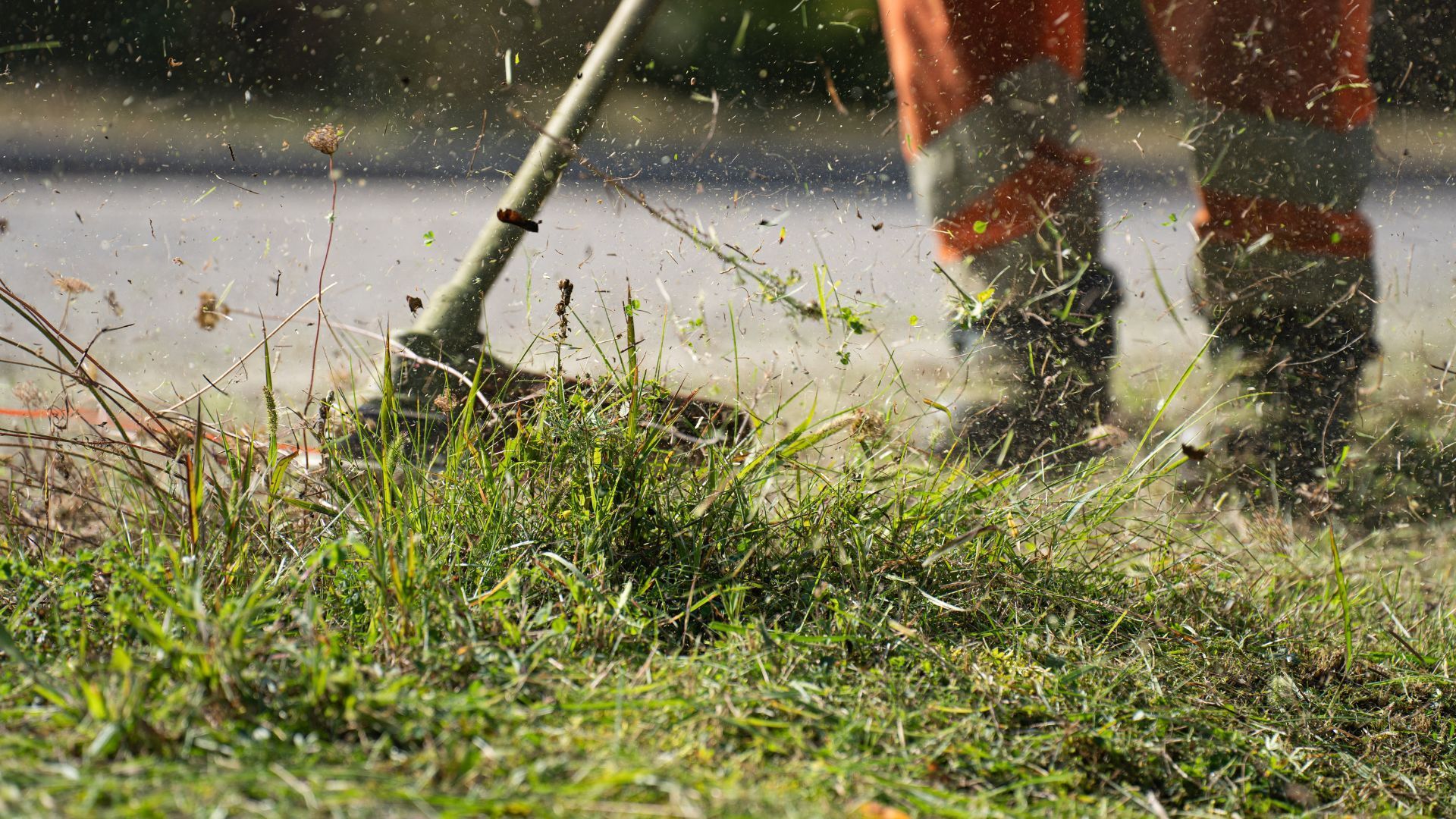 Worker in orange safety pants spraying water on grass near a roadside
