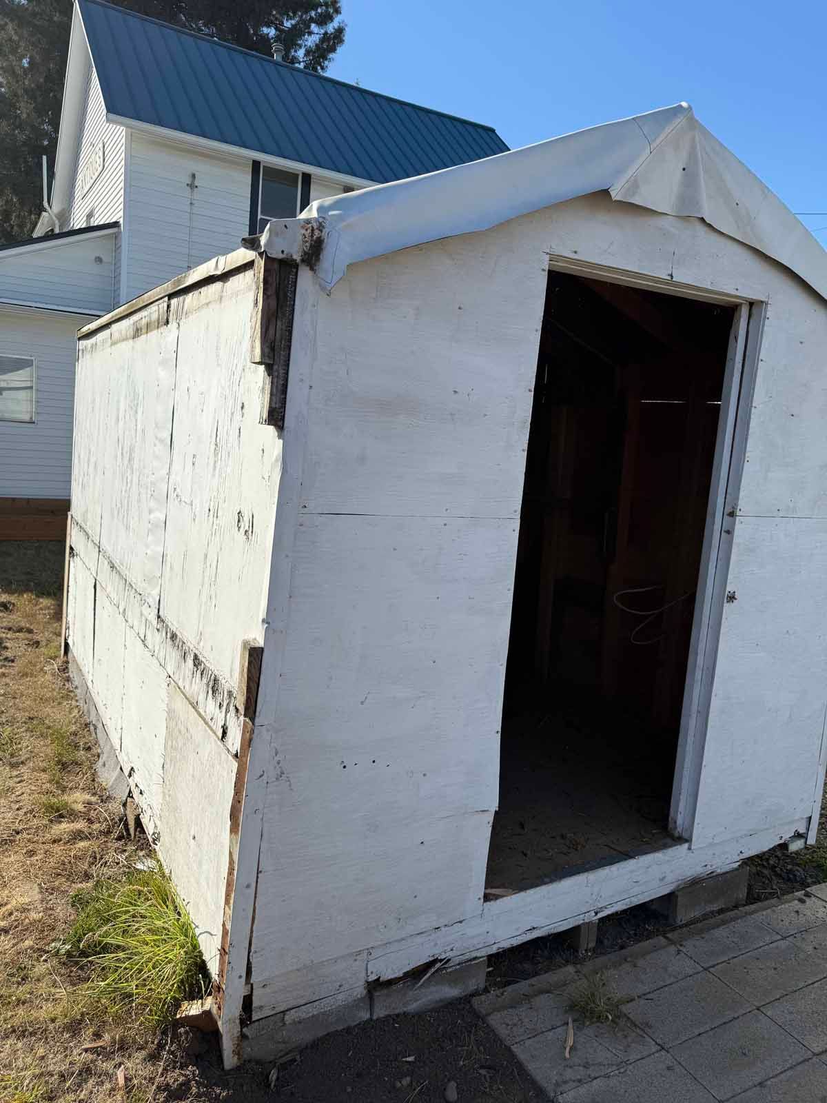 A white, weathered wooden shed with an open doorway sits in a grassy yard, with a two-story white house in the background.