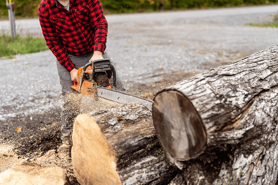 Matthews Studio cutting wood