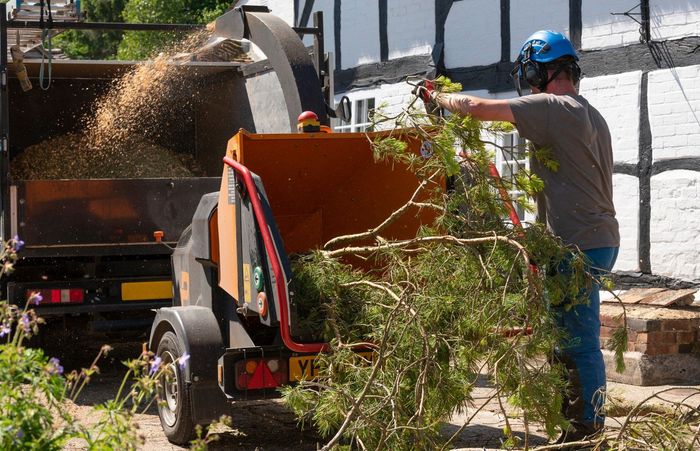 A man is cutting a tree with a machine.