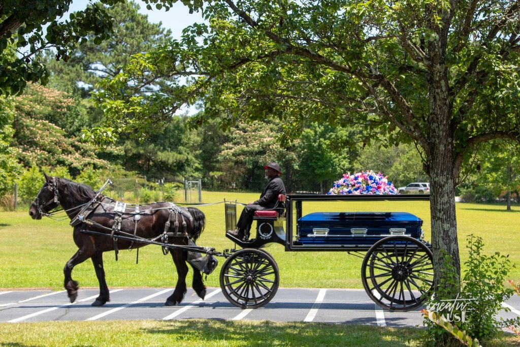 Horse-drawn blue carriage on a paved road in a leafy park, with flowers in the back.