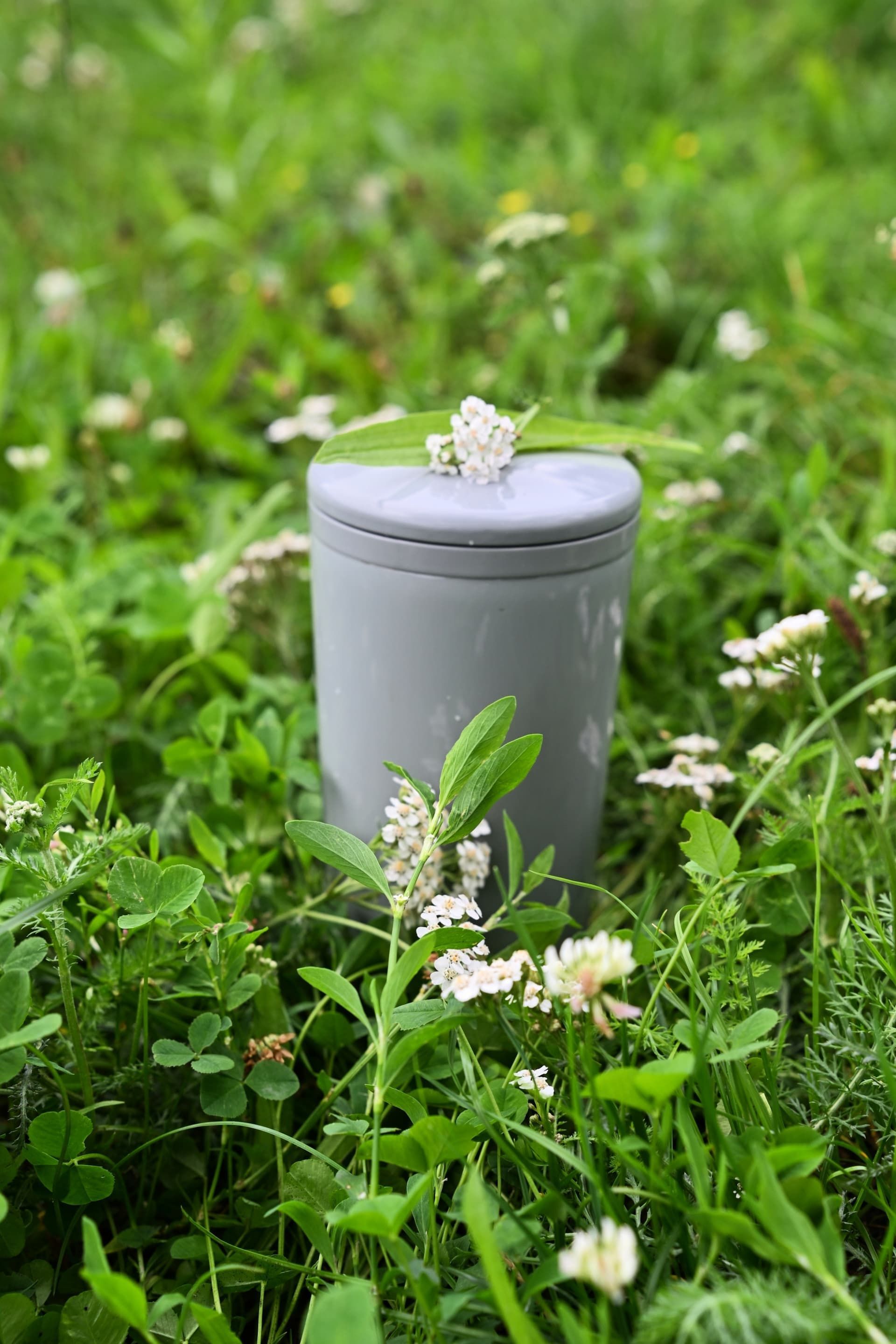 Gray cylindrical container in green grass with small white flowers on top