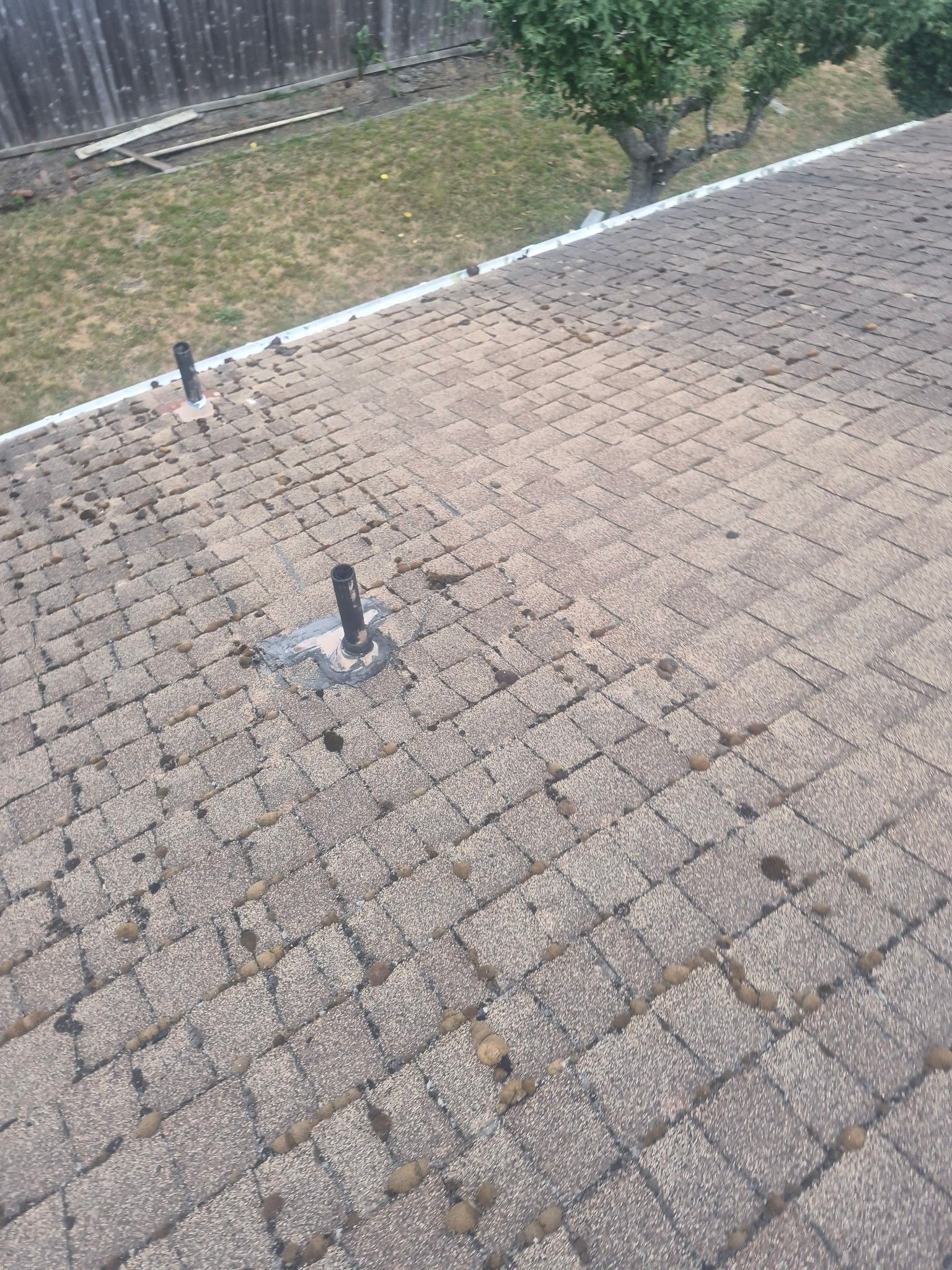 Rio Dell Residential Roof Replacement and Dry Rot Restoration