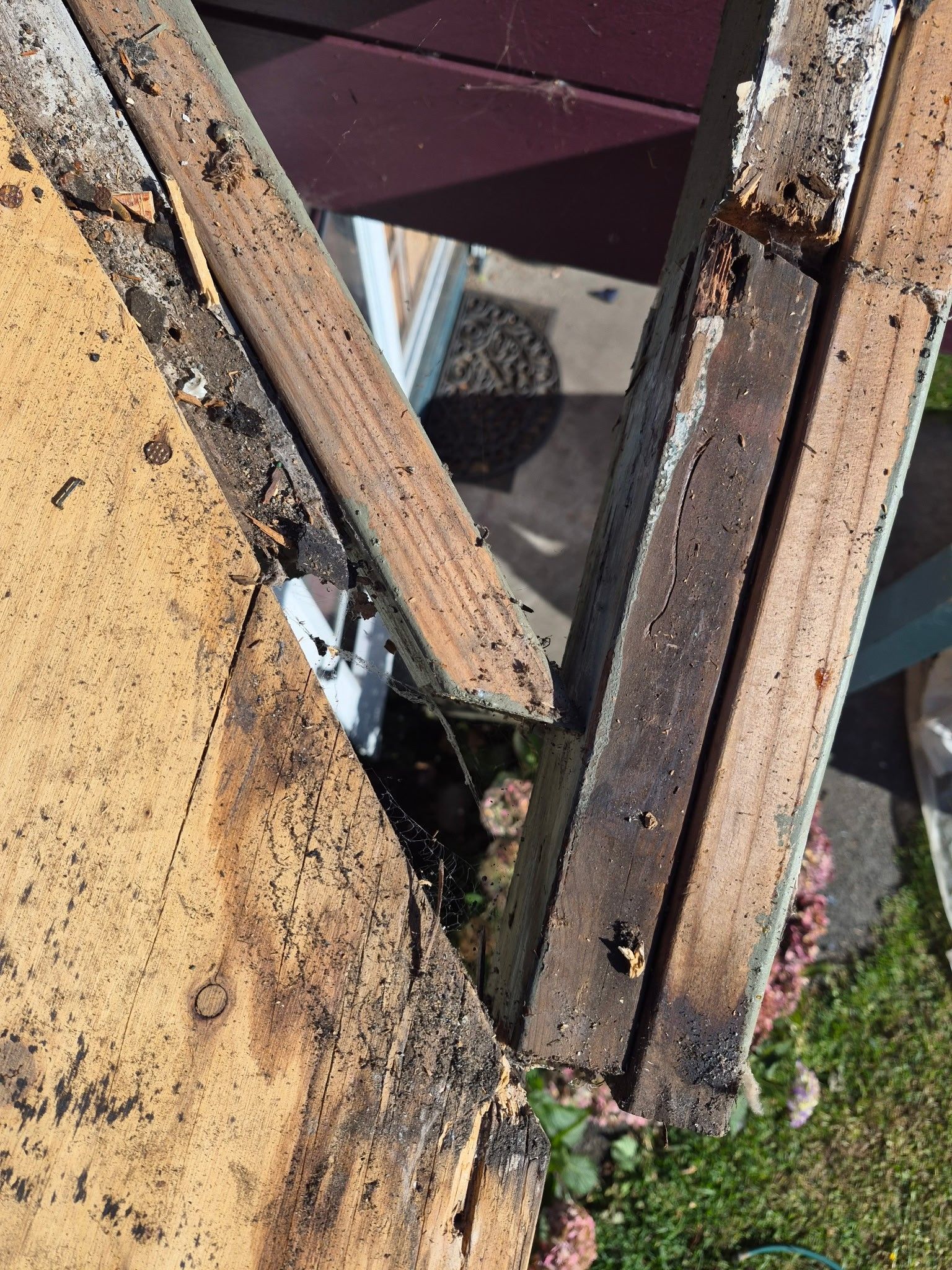 Rio Dell Residential Roof Replacement and Dry Rot Restoration