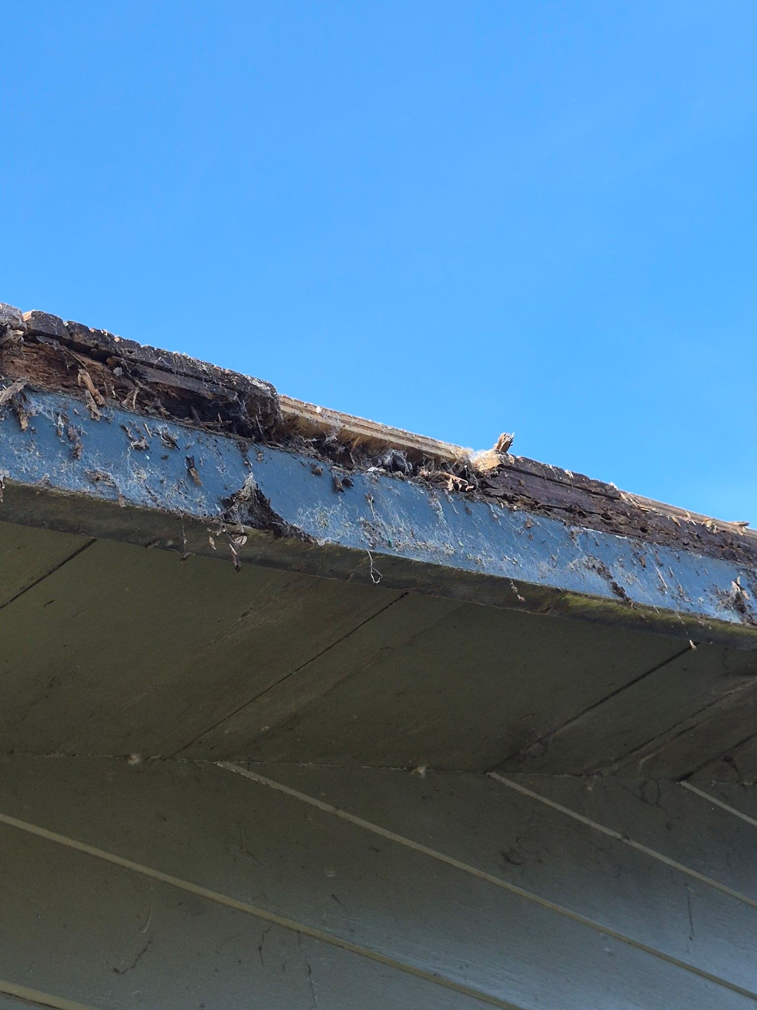 Rio Dell Residential Roof Replacement and Dry Rot Restoration