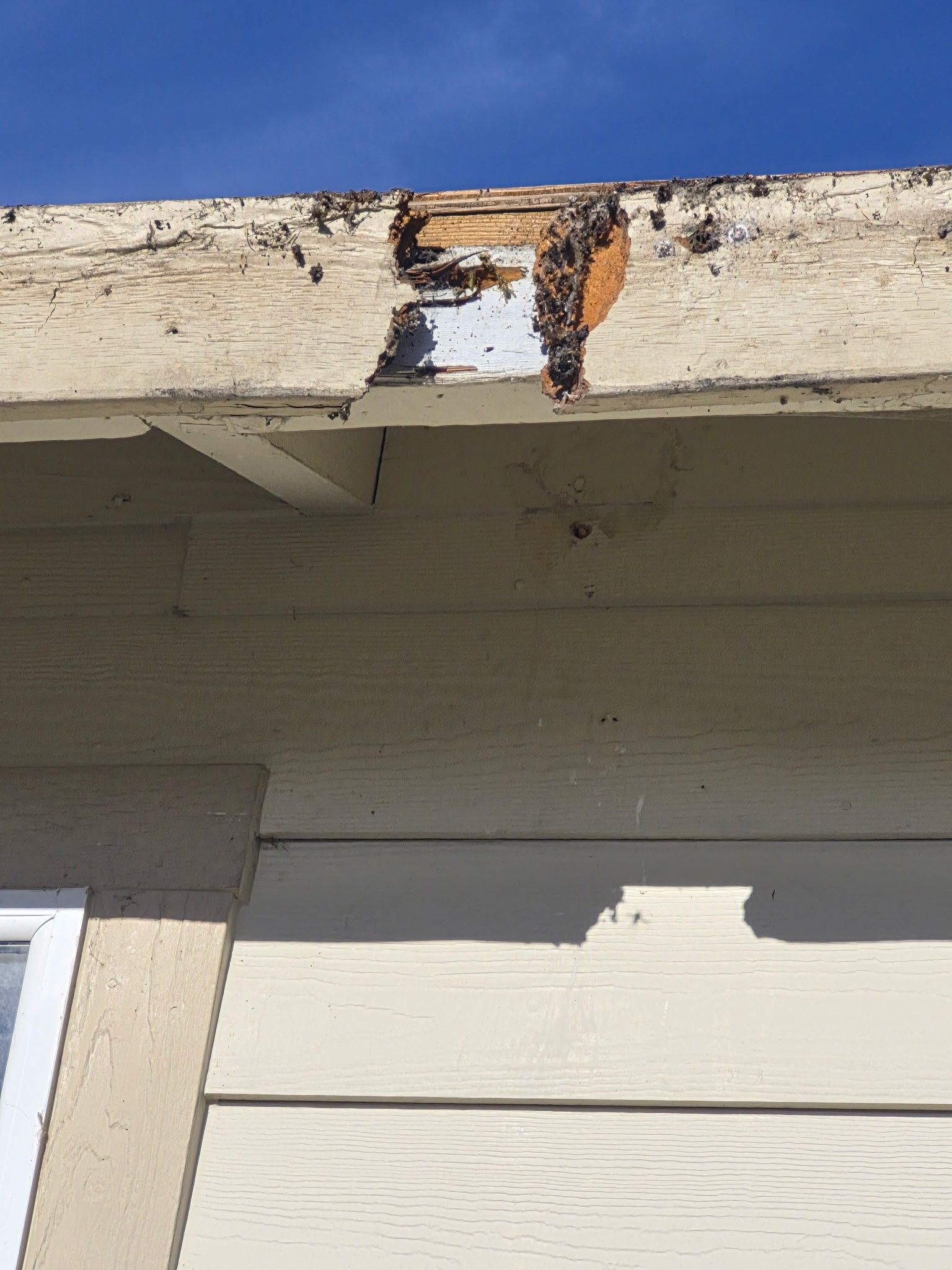 Rio Dell Residential Roof Replacement and Dry Rot Restoration