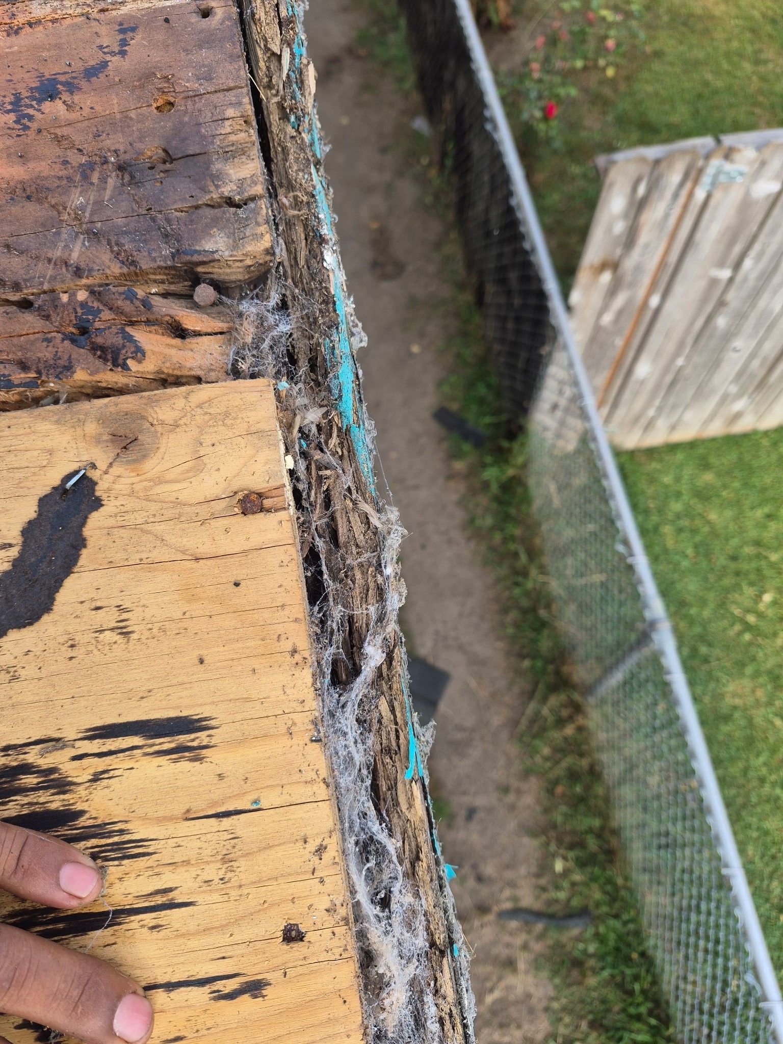 Rio Dell Residential Roof Replacement and Dry Rot Restoration