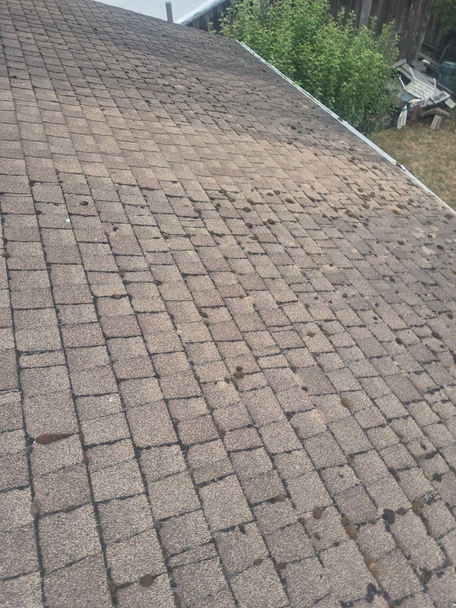 Rio Dell Residential Roof Replacement and Dry Rot Restoration