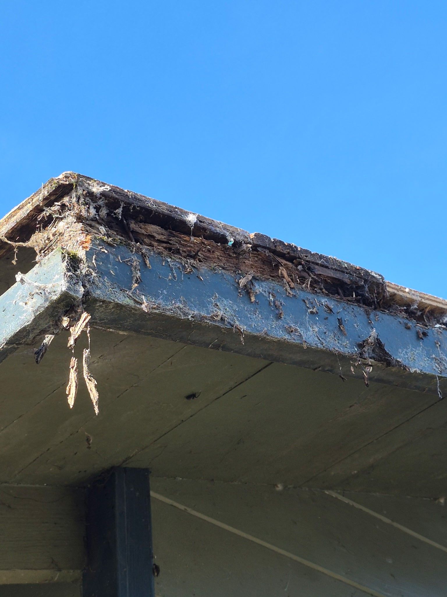 Rio Dell Residential Roof Replacement and Dry Rot Restoration