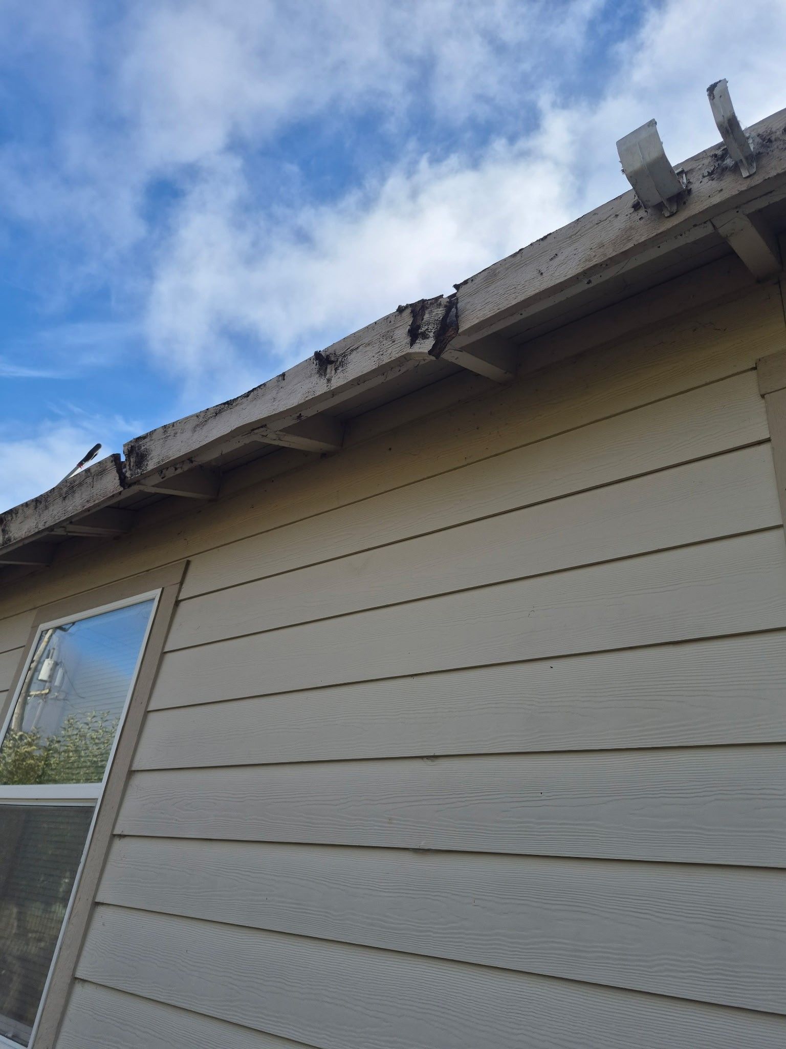 Rio Dell Residential Roof Replacement and Dry Rot Restoration