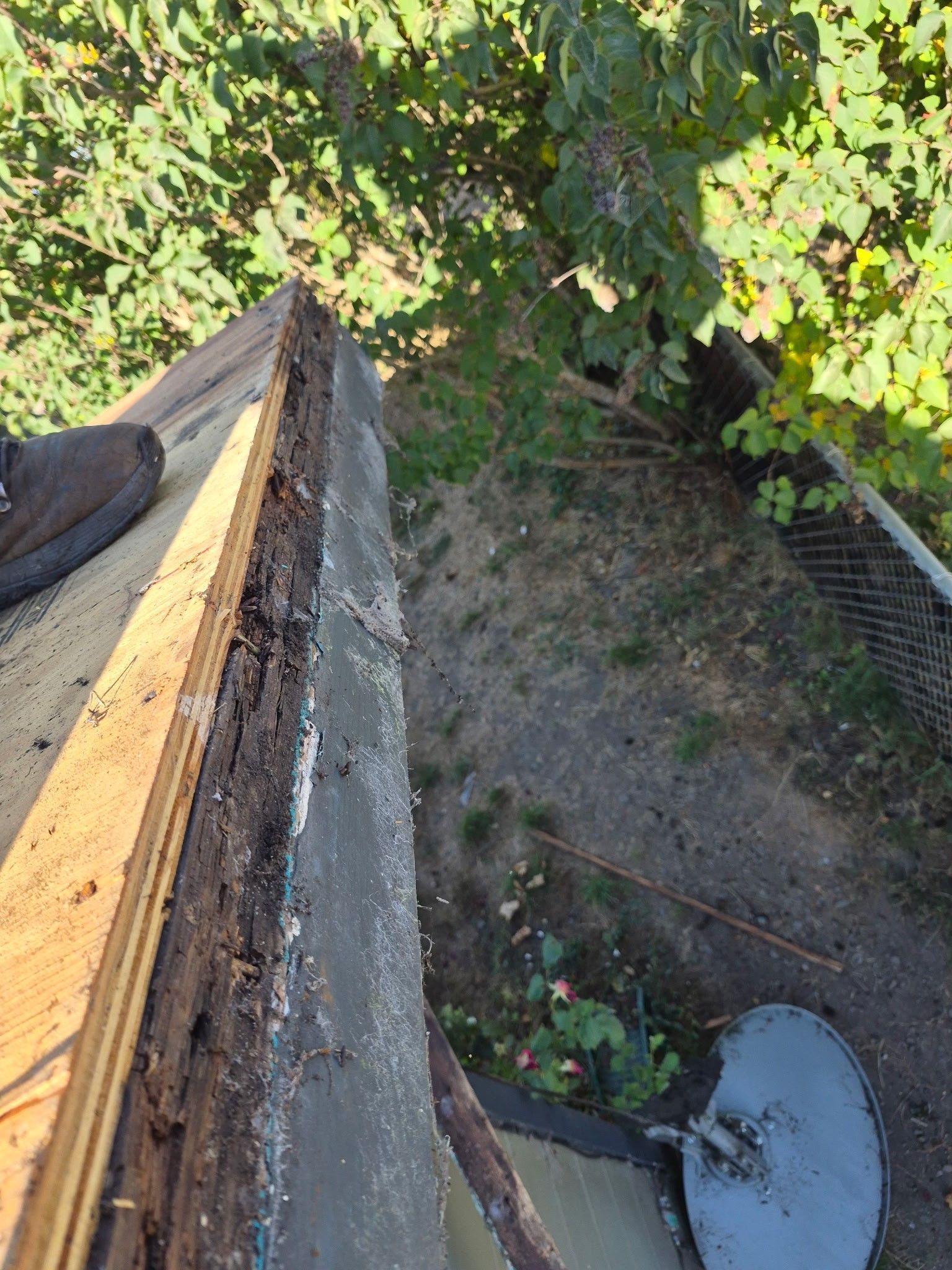 Rio Dell Residential Roof Replacement and Dry Rot Restoration
