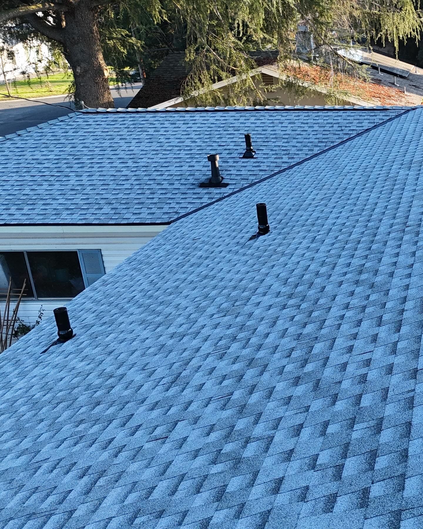 Blue shingle roof with several black vent pipes, viewed from above in daylight