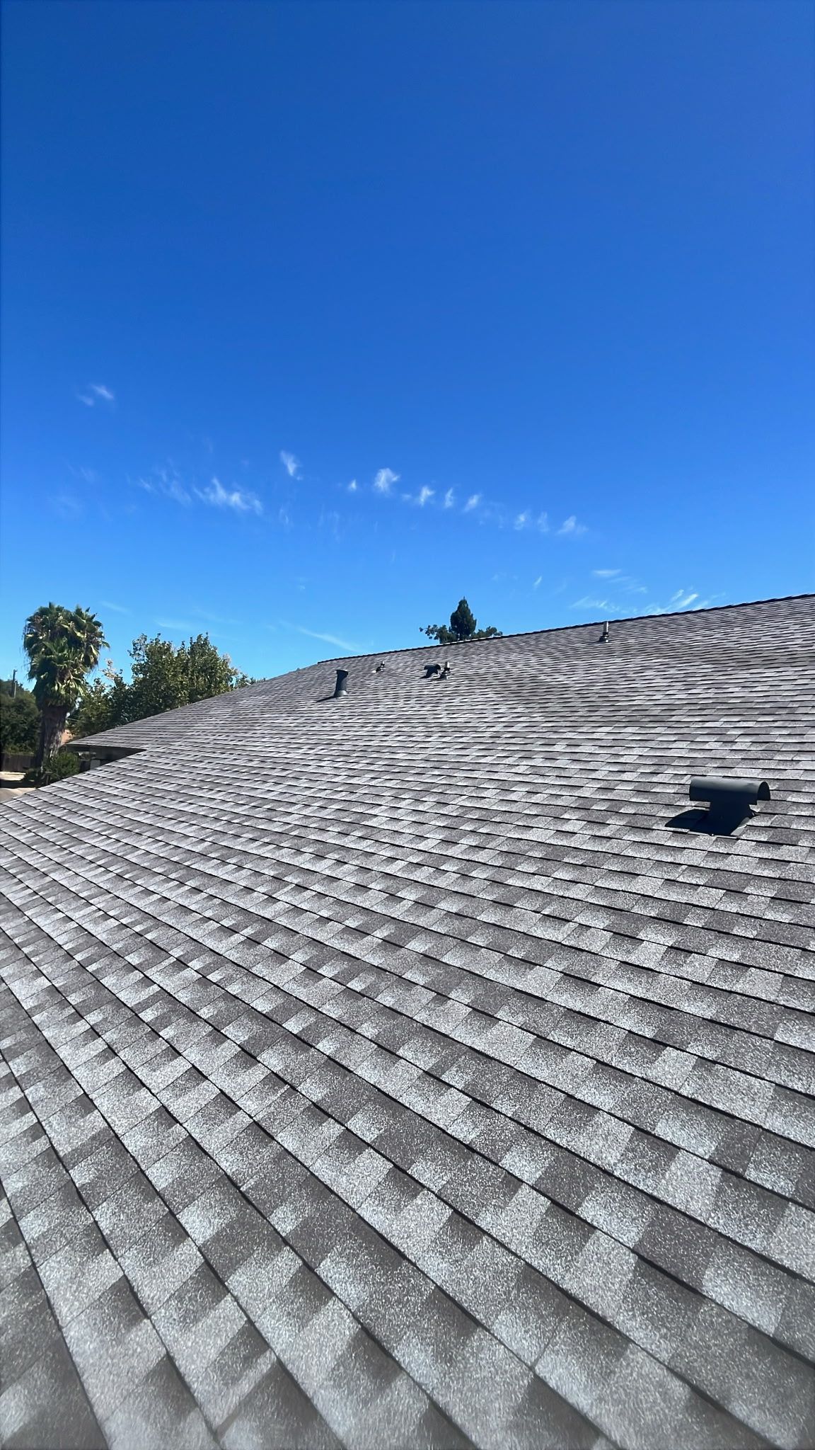 Citrus Heights Complete Roof Restoration & Gutter Upgrade