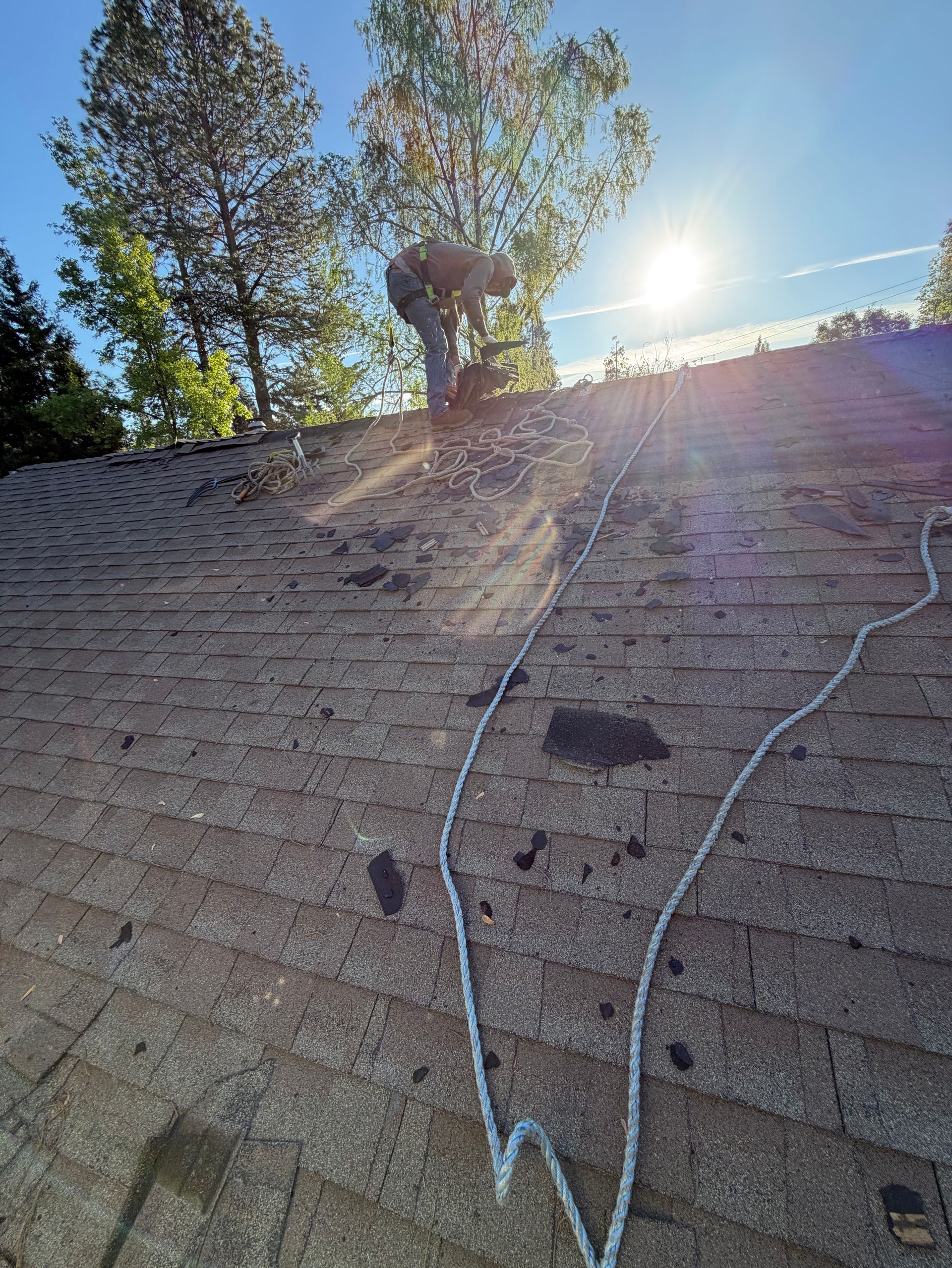 548 Fawcett St
Grass Valley Roof Project