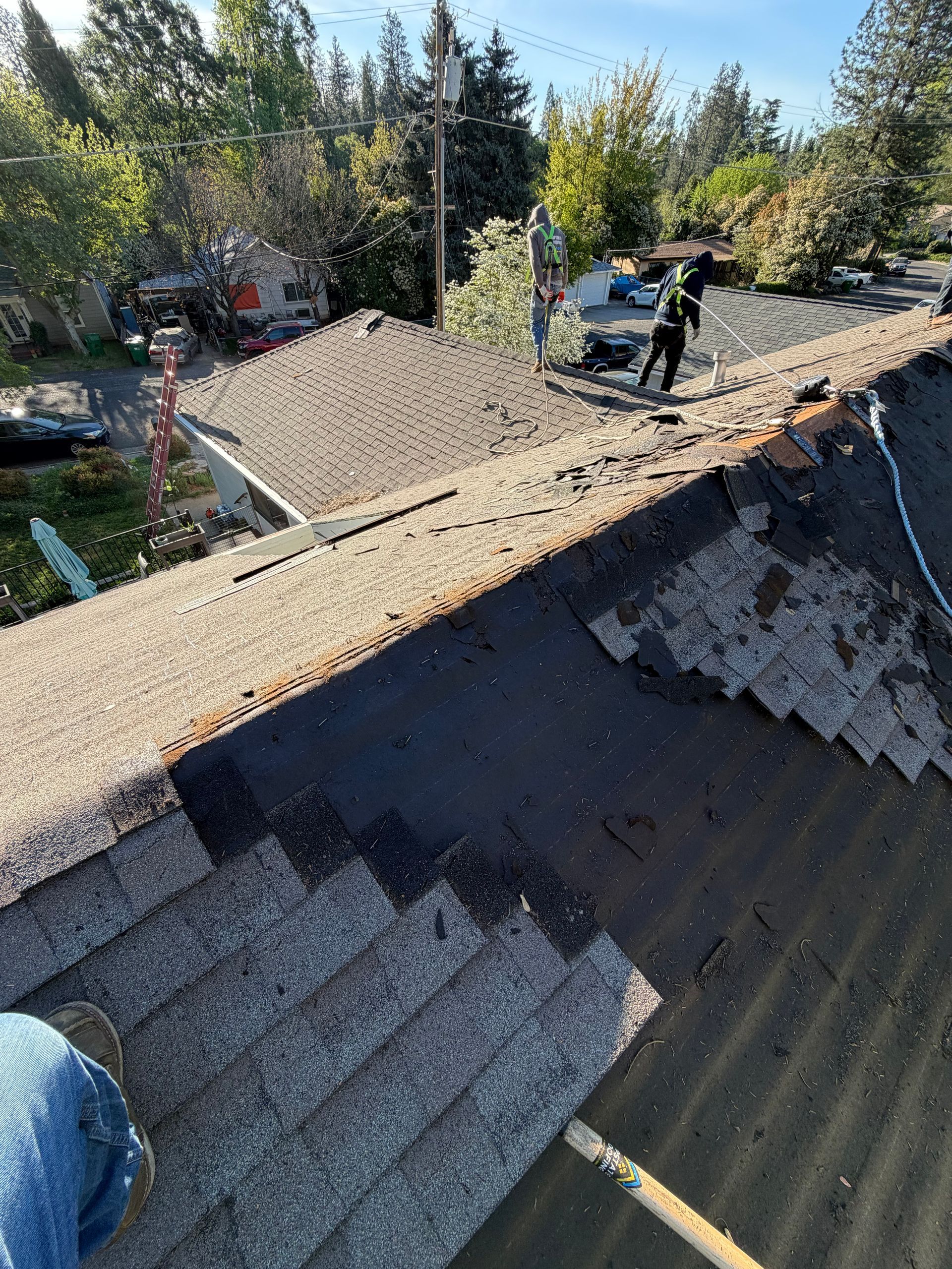 548 Fawcett St
Grass Valley Roof Project