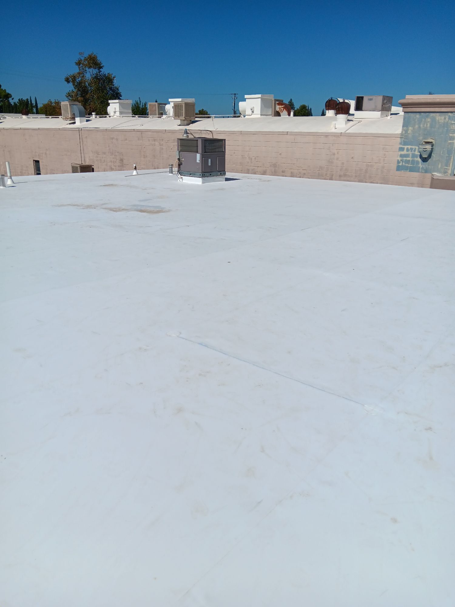 TPO Roofing
