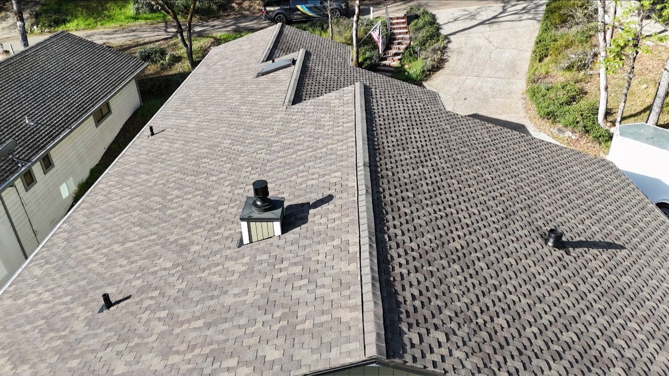 Aerial view of a residential roof with gray shingles and two chimneys beside a tree-lined driveway.