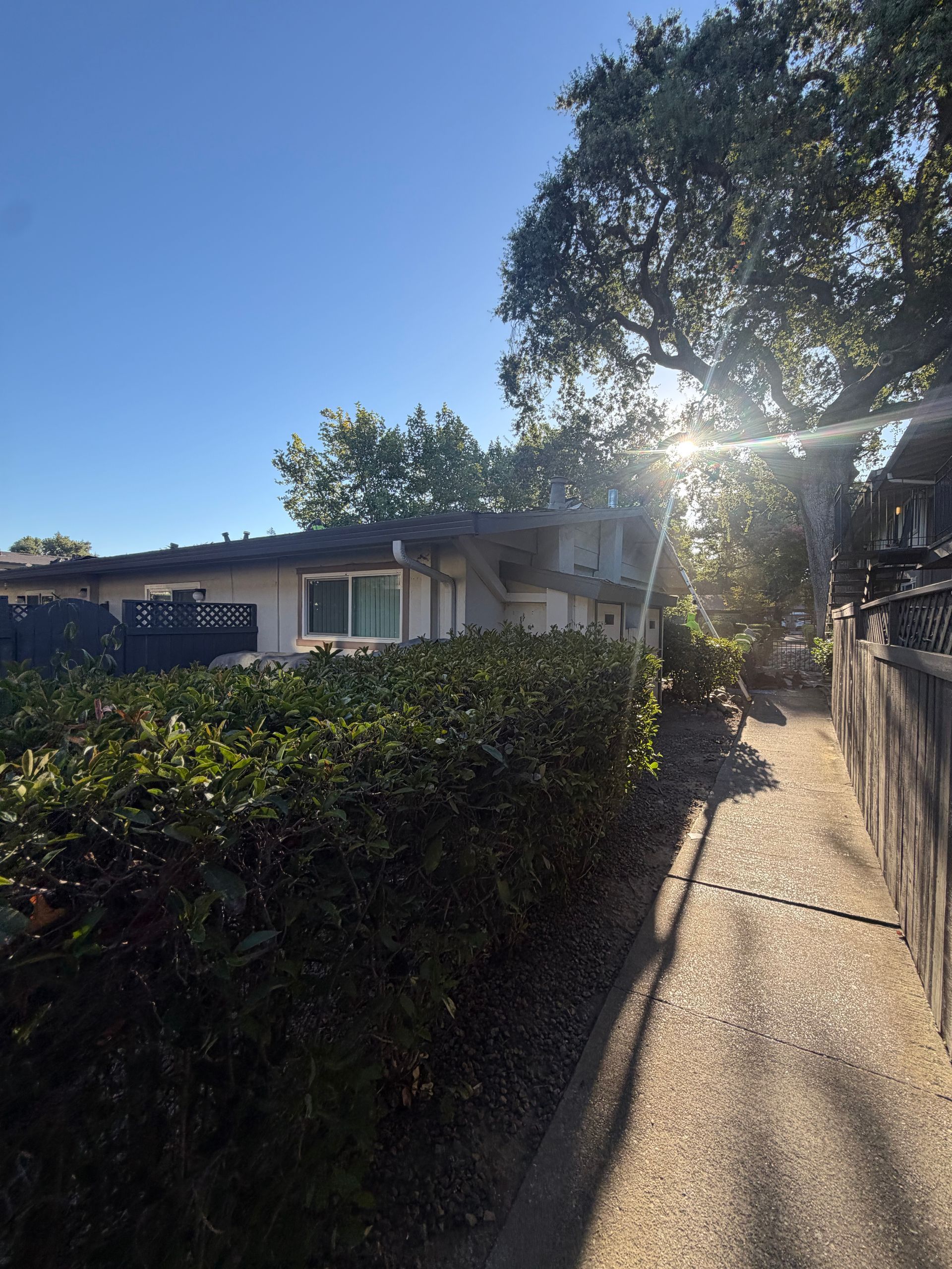 Carmichael Multi-Family Commercial Roof Tear-Off and Safe Debris Extraction