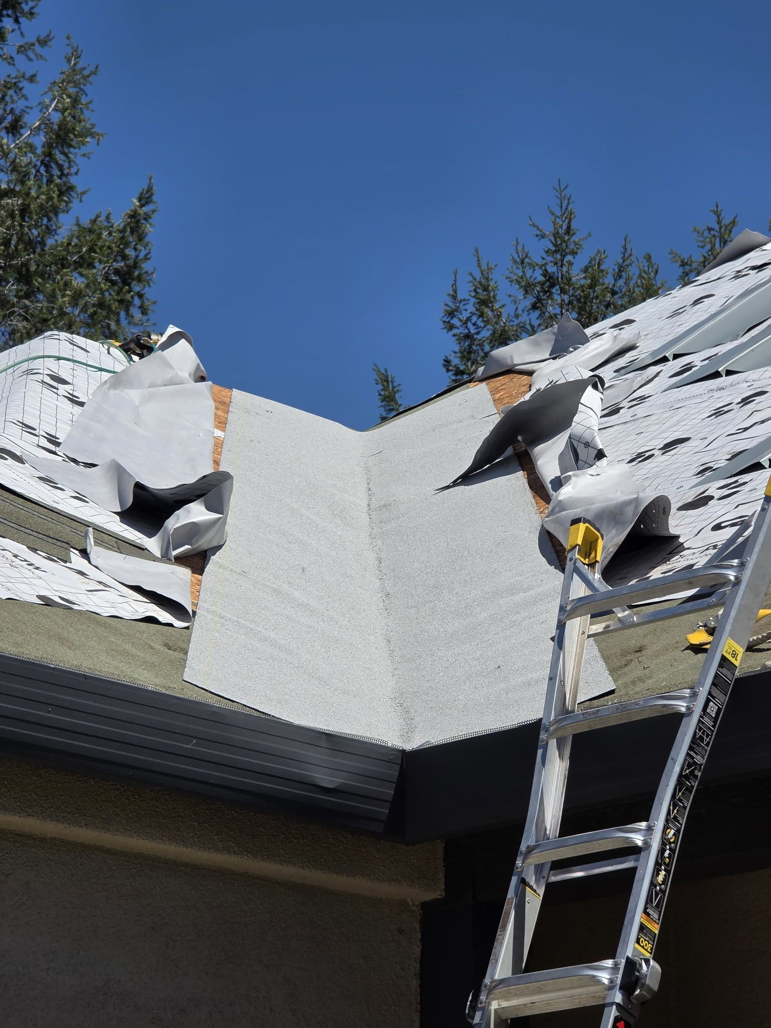 Expert Residential Roof Shingle Installation in North Auburn, CA