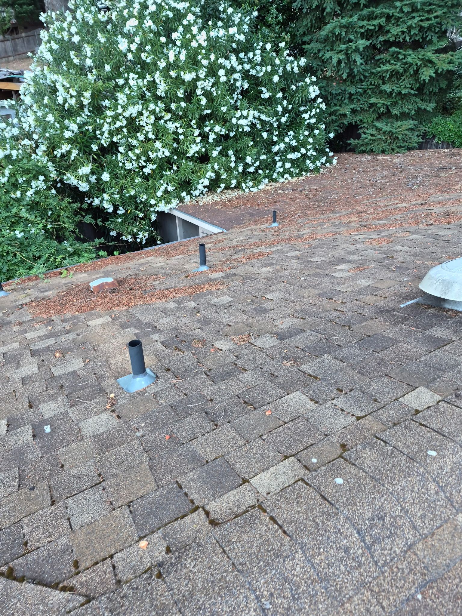 Willow Creek Complete Roof Replacement
