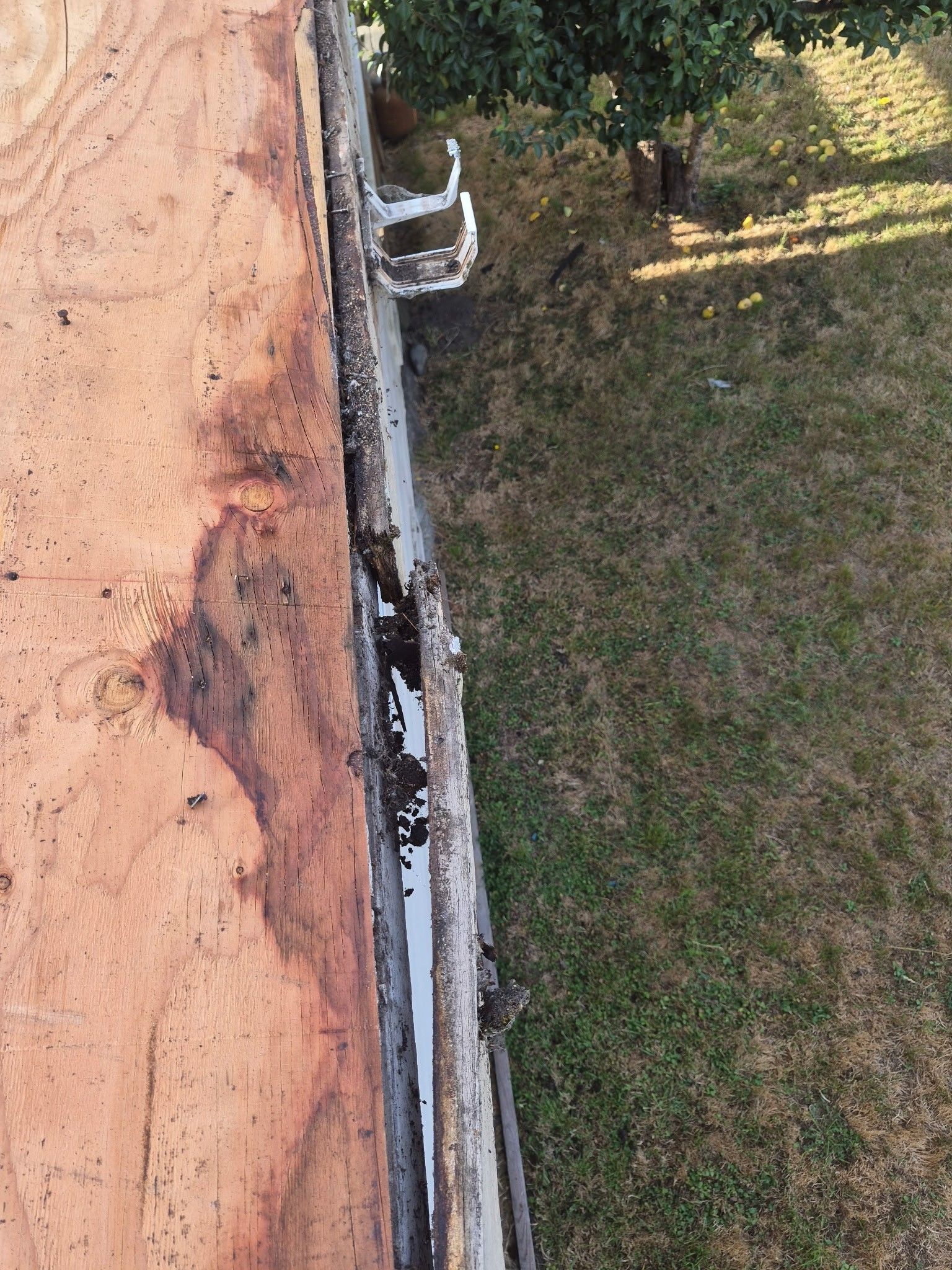 Rio Dell Residential Roof Replacement and Dry Rot Restoration