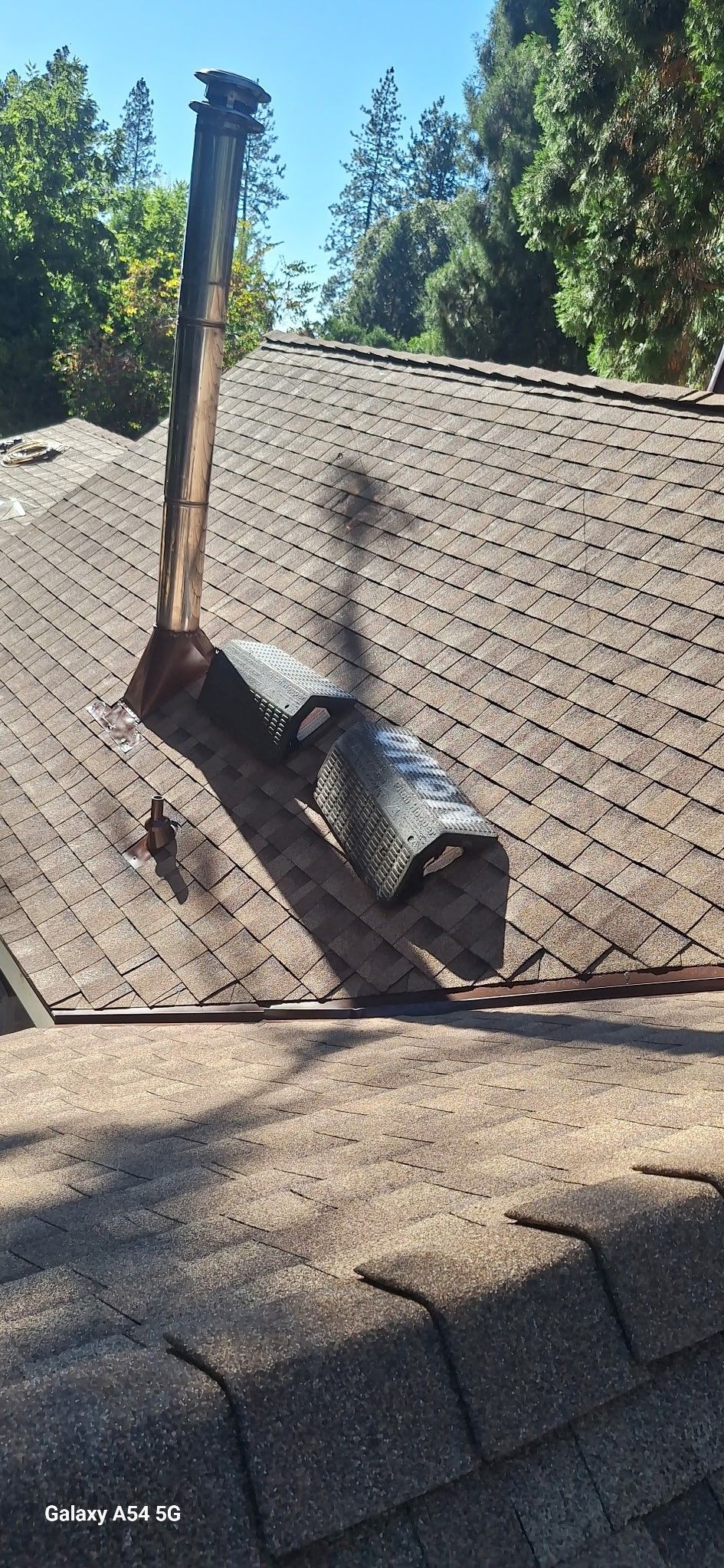 Comprehensive Dry Rot Repair & Deck Preparation