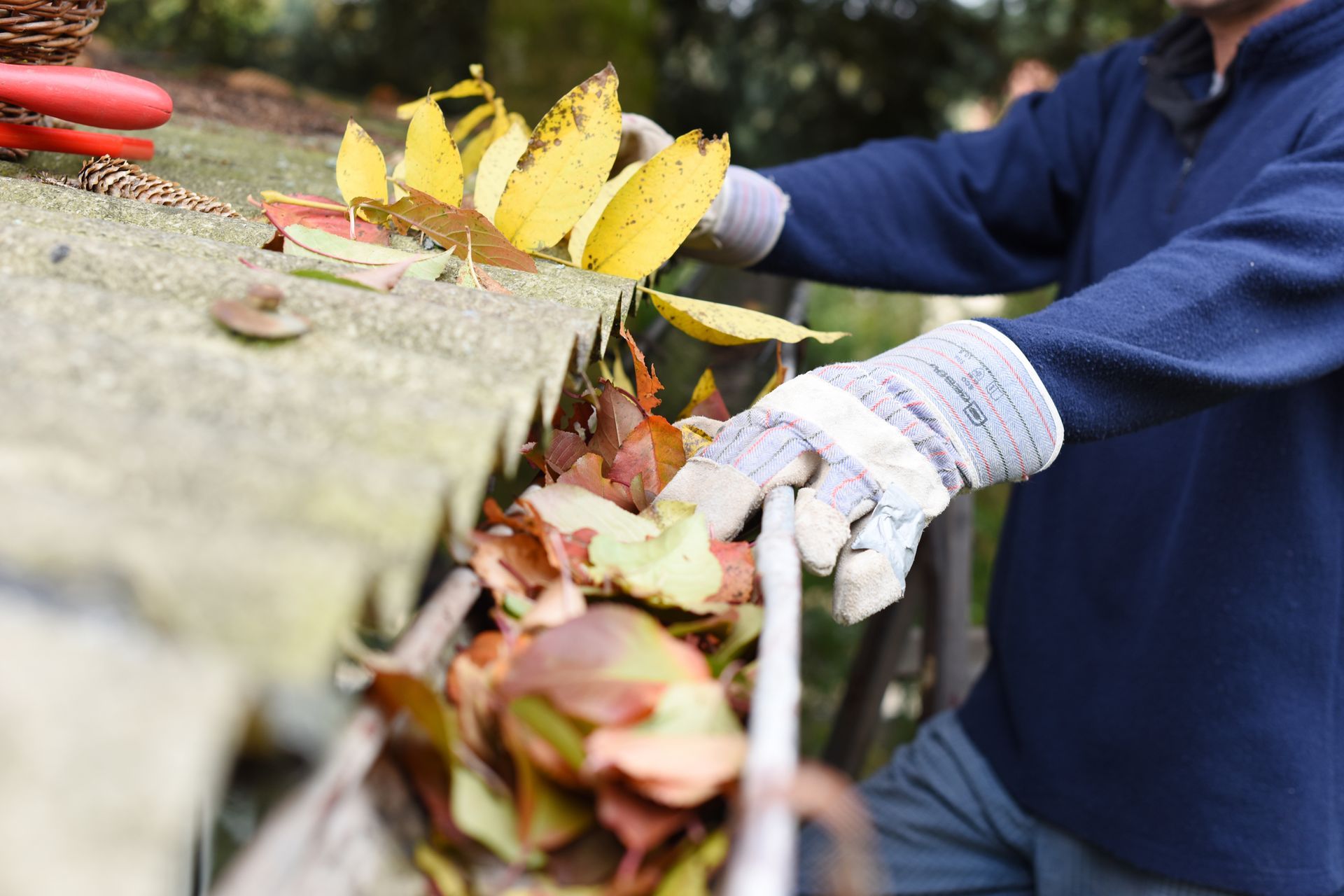 Worker in white gloves cleaning leaves from a concrete gutter beside yellow foliage.