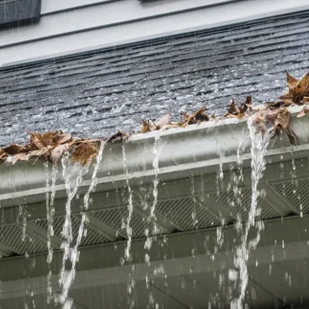 Icicles hanging from a house roof edge with fallen brown leaves on the gutter
