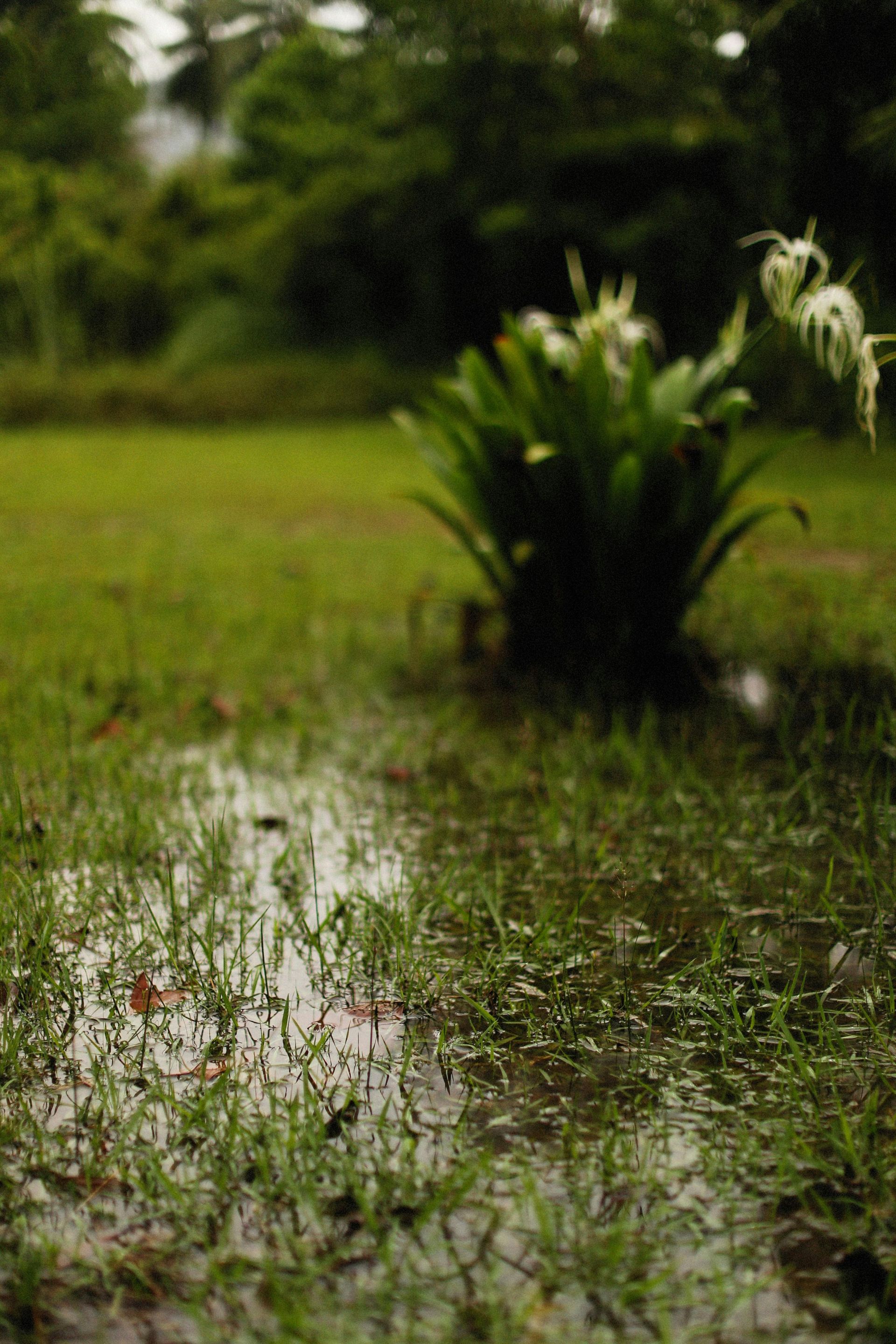 Floodwater pooling beside a brick house wall and downspout after heavy rain