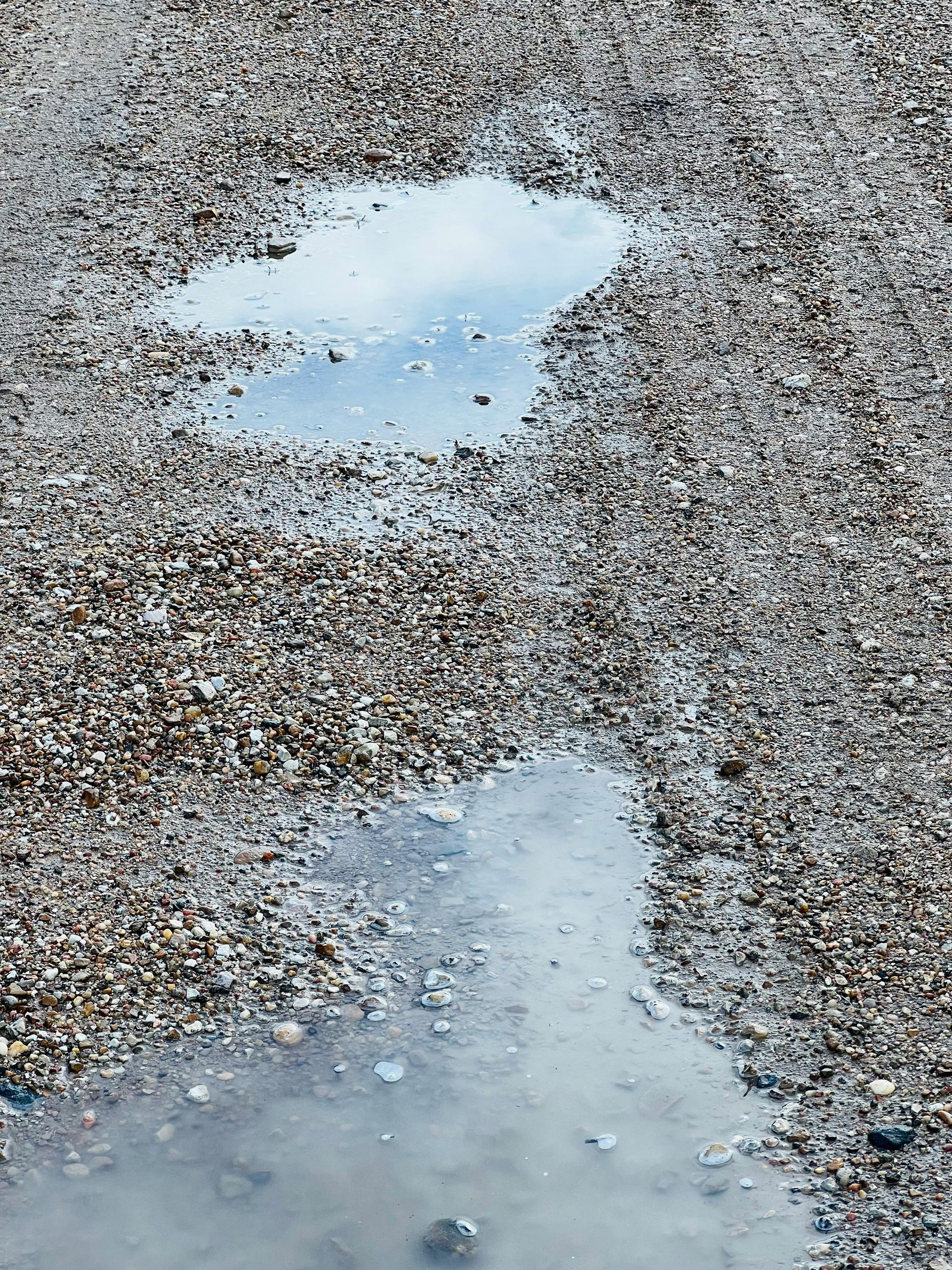 Floodwater pooling beside a brick house wall and downspout after heavy rain