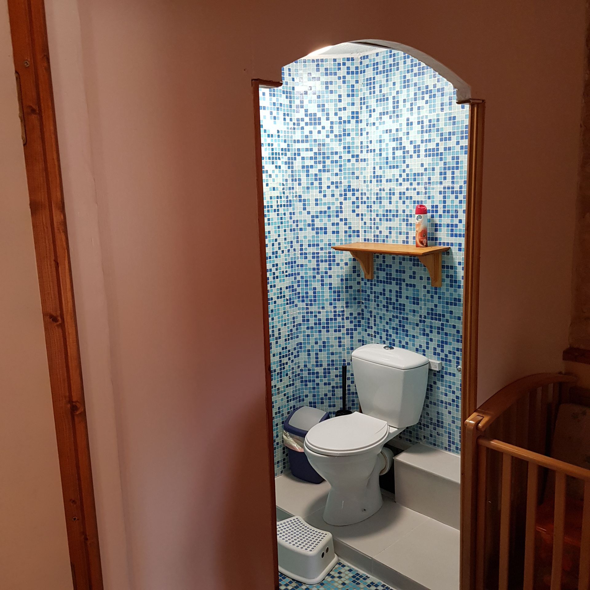 view into an ensuite shower room with toilet and blue wall tiles