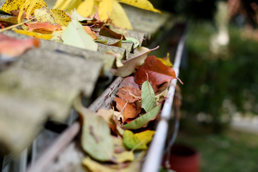 Gutter filled with colorful fallen leaves.