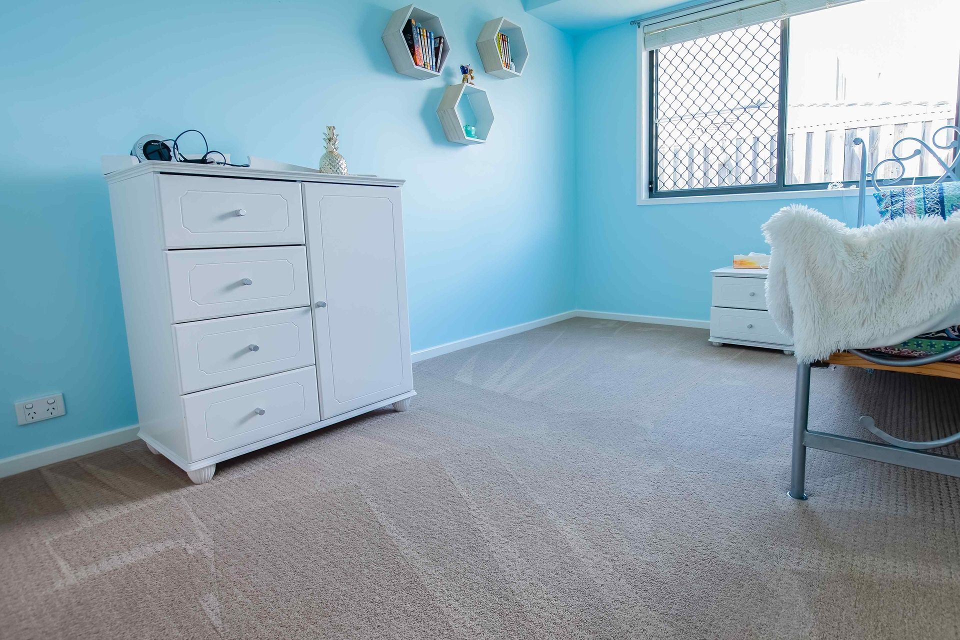 A carpet that has just been cleaned