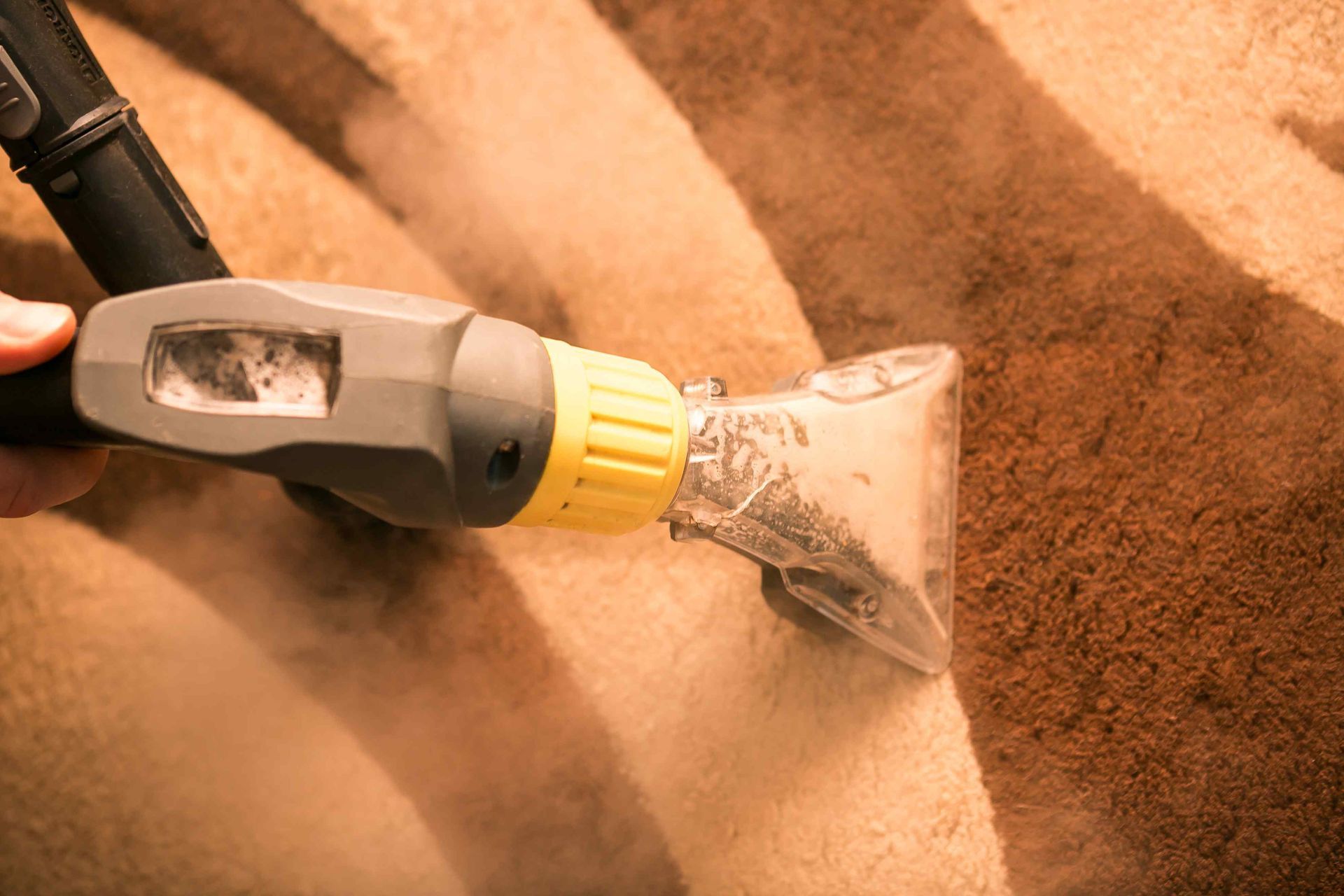 Deep cleaning a patterned carpet