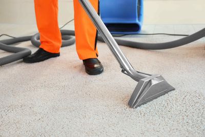 An employee cleaning a carpeted floor