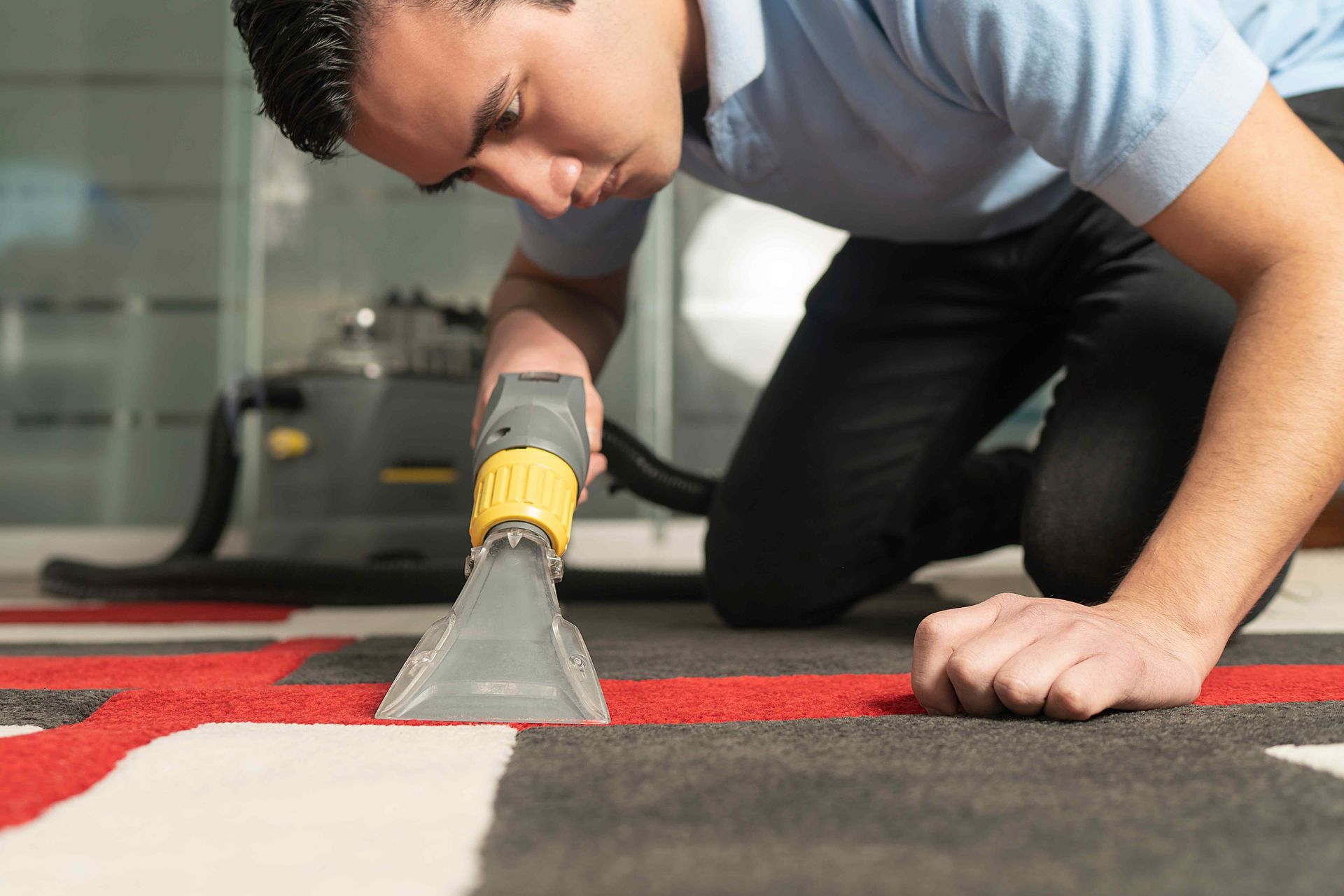 Cleaning a carpet with specialized equipment