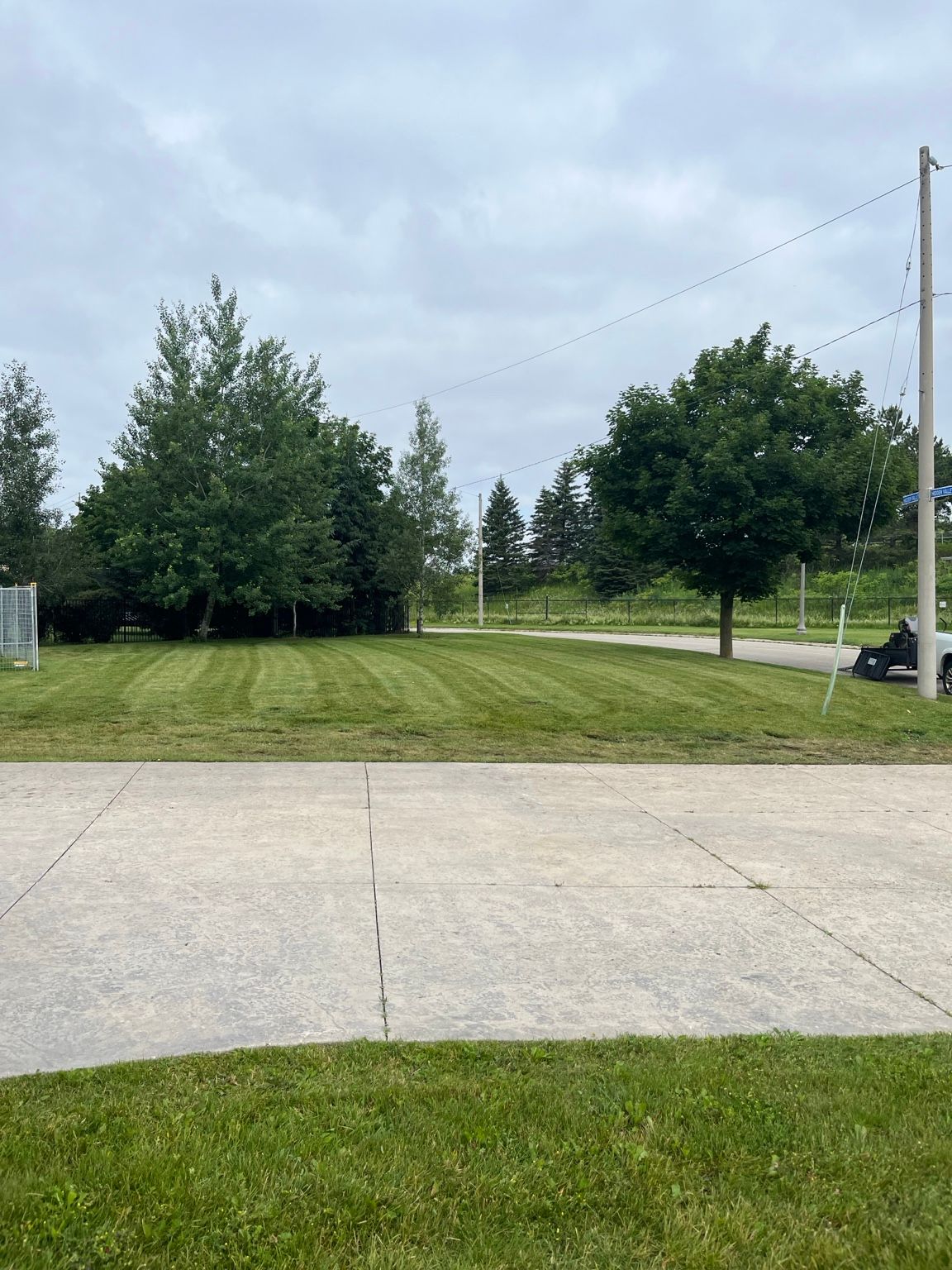 Grassy yard with trees, a concrete driveway, and a utility pole under a cloudy sky.