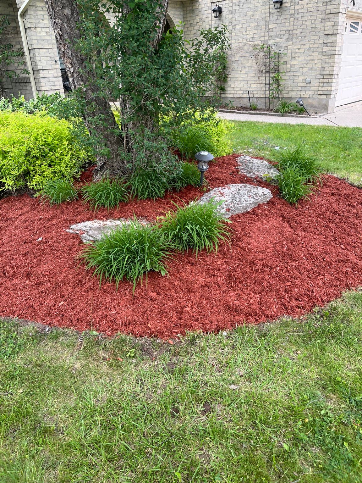 Landscaped garden bed with red mulch, stepping stones, and a small tree beside a house