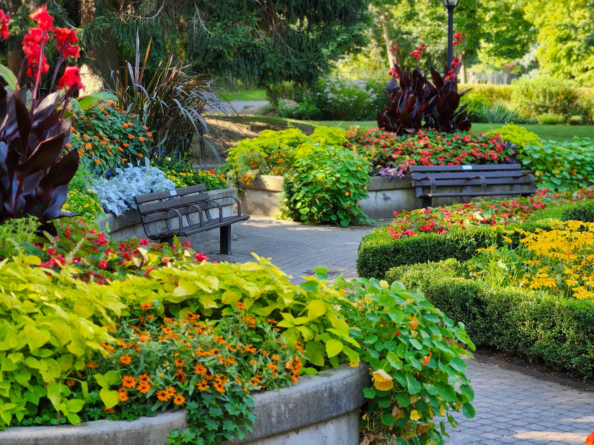 Landscaped garden path with large rocks, grasses, and hedges in bright sunlight