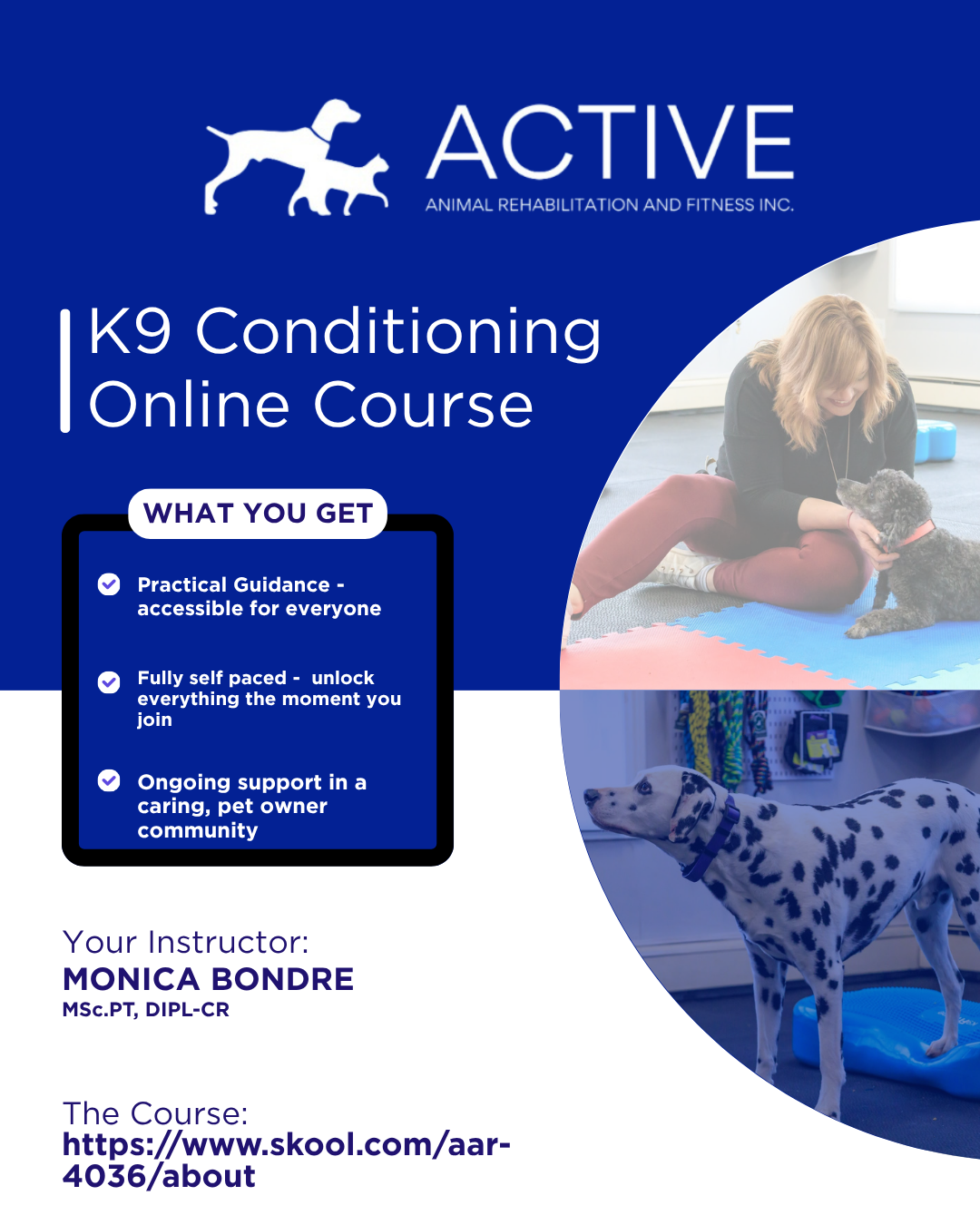K-9 conditioning flyer with dogs exercising, blue and peach design, class details and QR code.