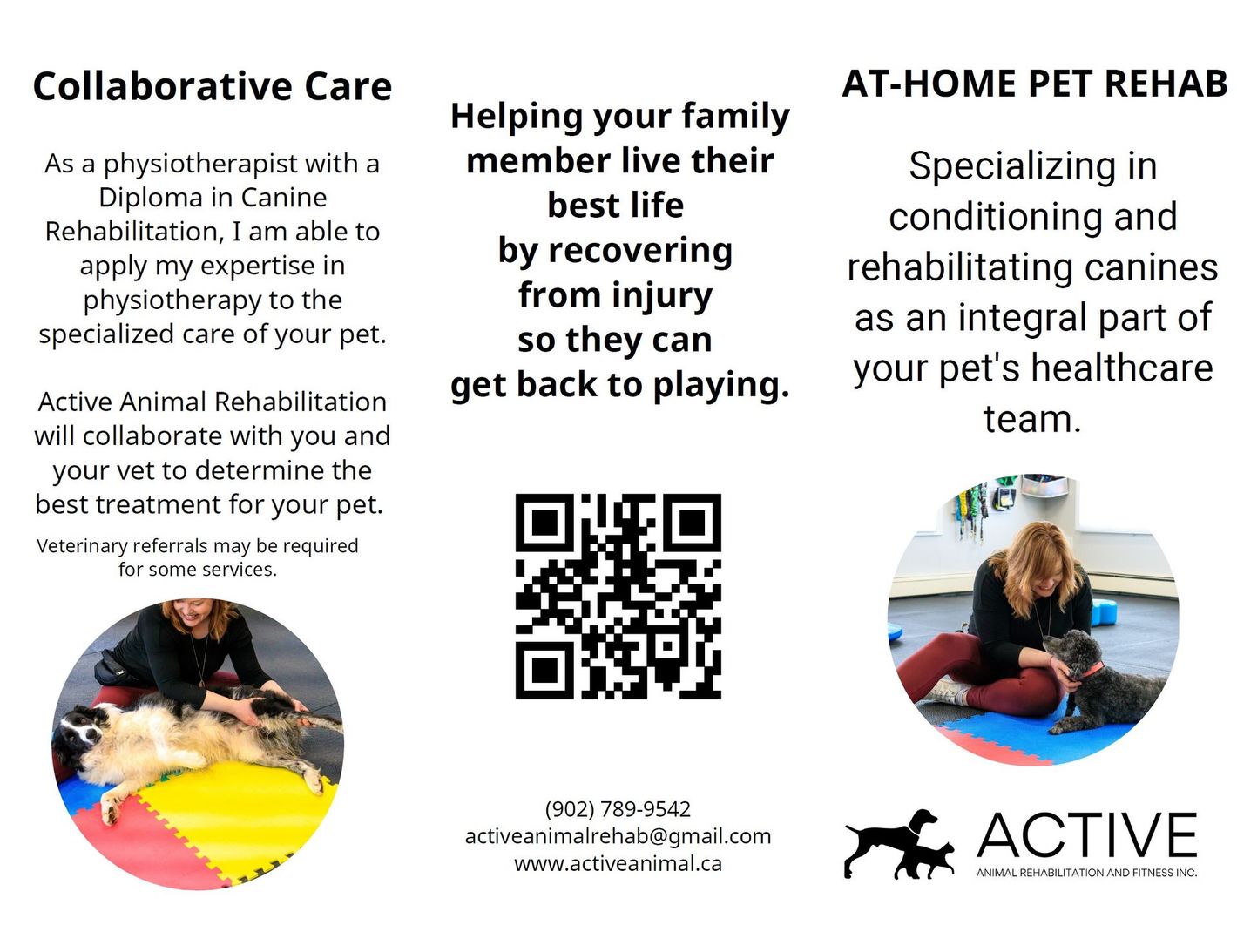 Pet rehab flyer with dog training photos, QR code, and text about at-home conditioning and rehabilitation services
