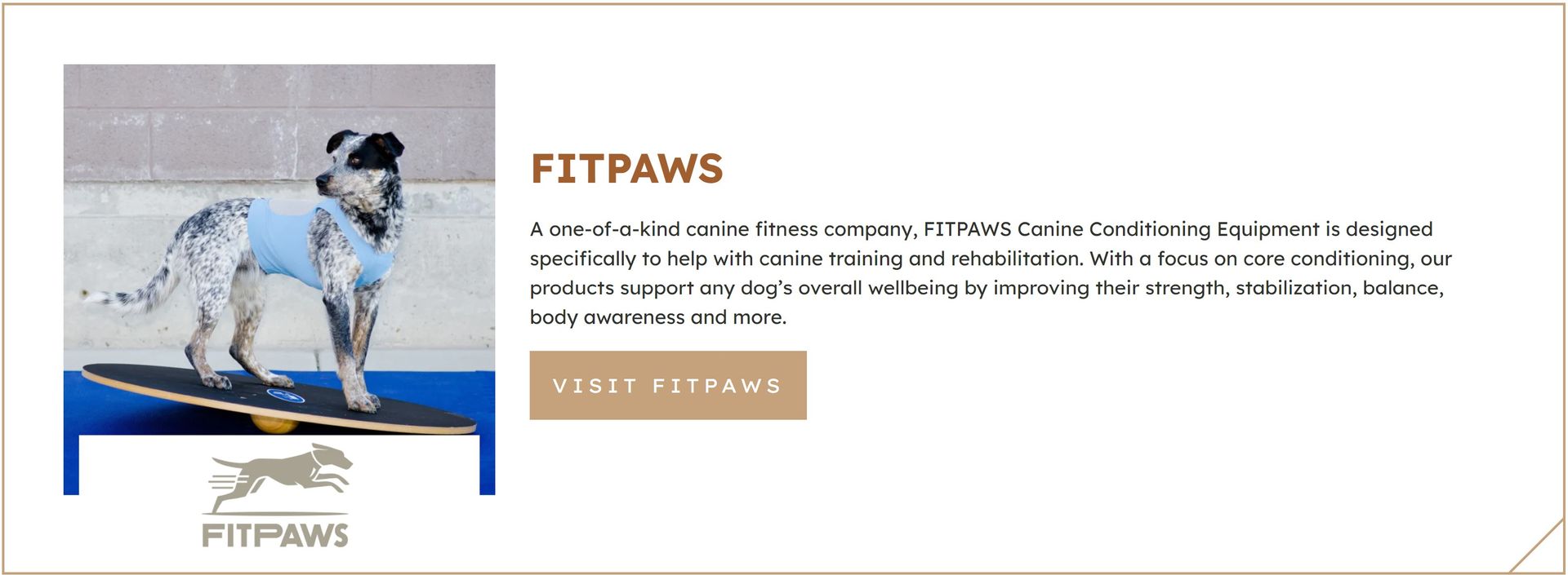Greyhound running on a blue track with the FITPAWS logo and title text on a white webpage banner