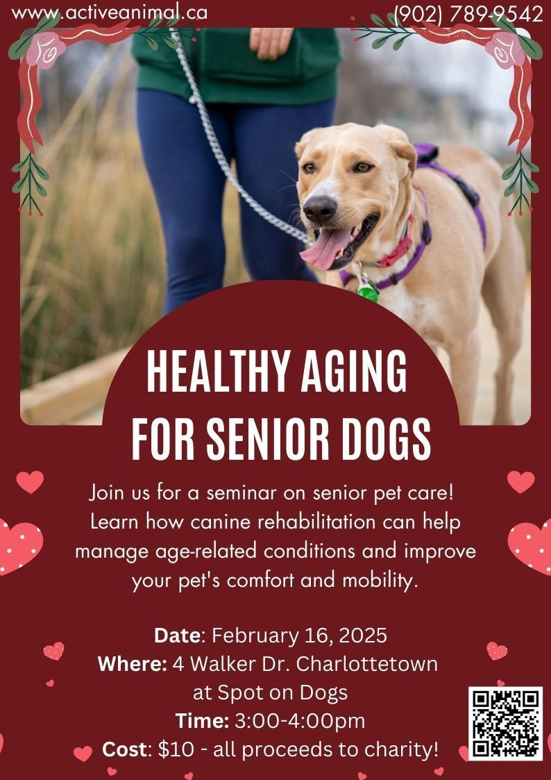 Poster for senior dog health event with tan dog on leash and event details in red hearts border