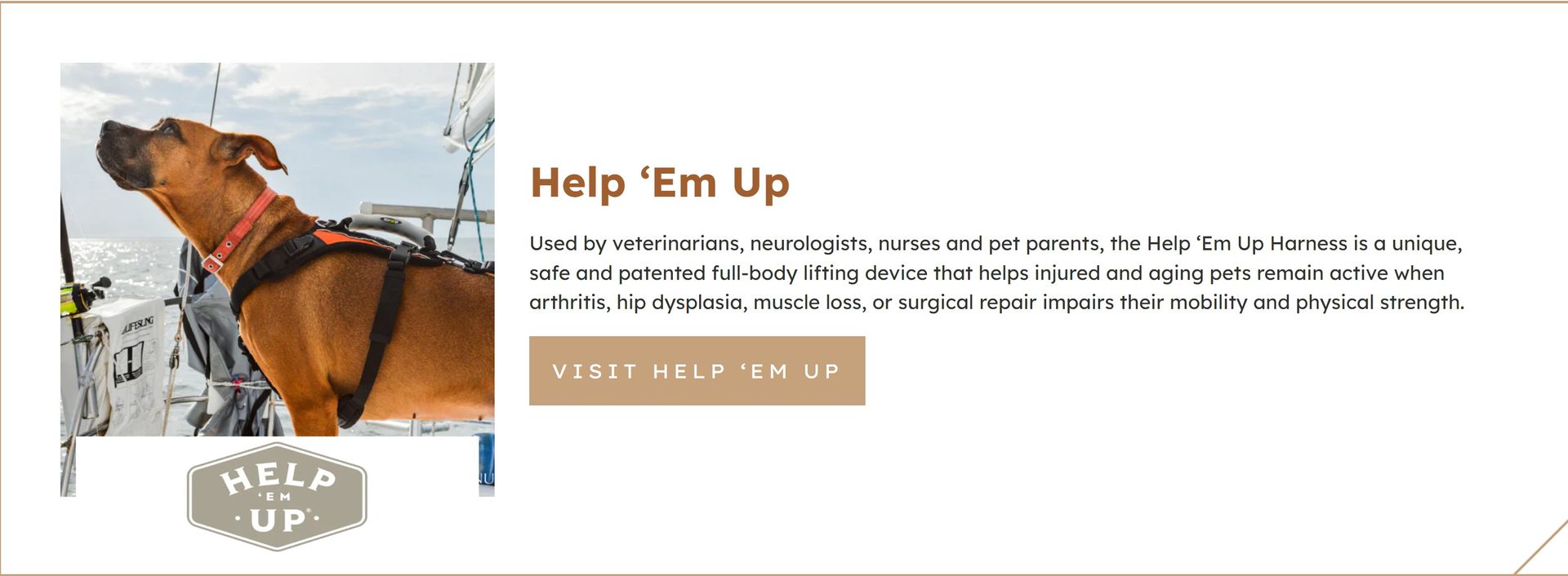 Brown horse being washed by a person in a white shirt, with “Help ’Em Up” text and logo on the right.