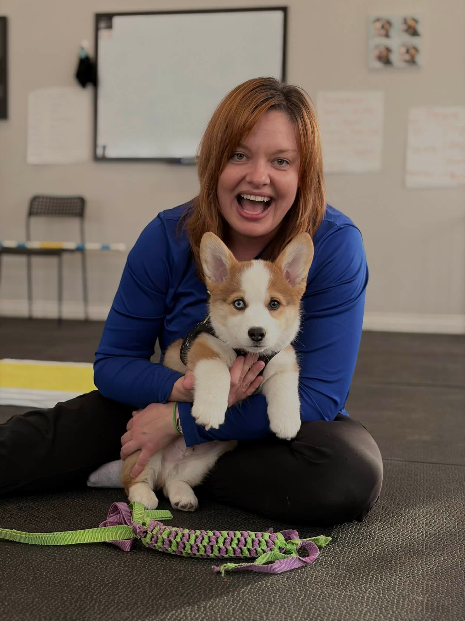 Woman in blue smiling and holding a puppy on the floor in a classroom